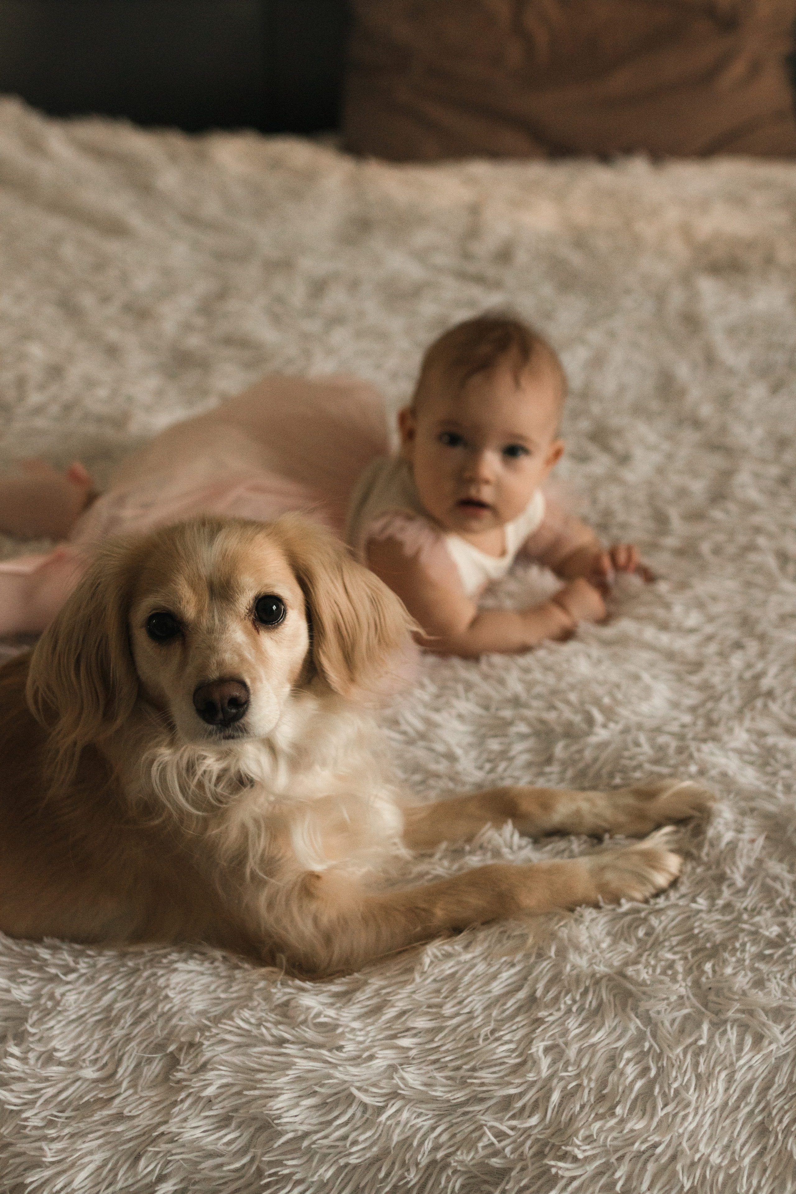 Домашняя. Фотограф в Краснодаре Арина Кудряшова