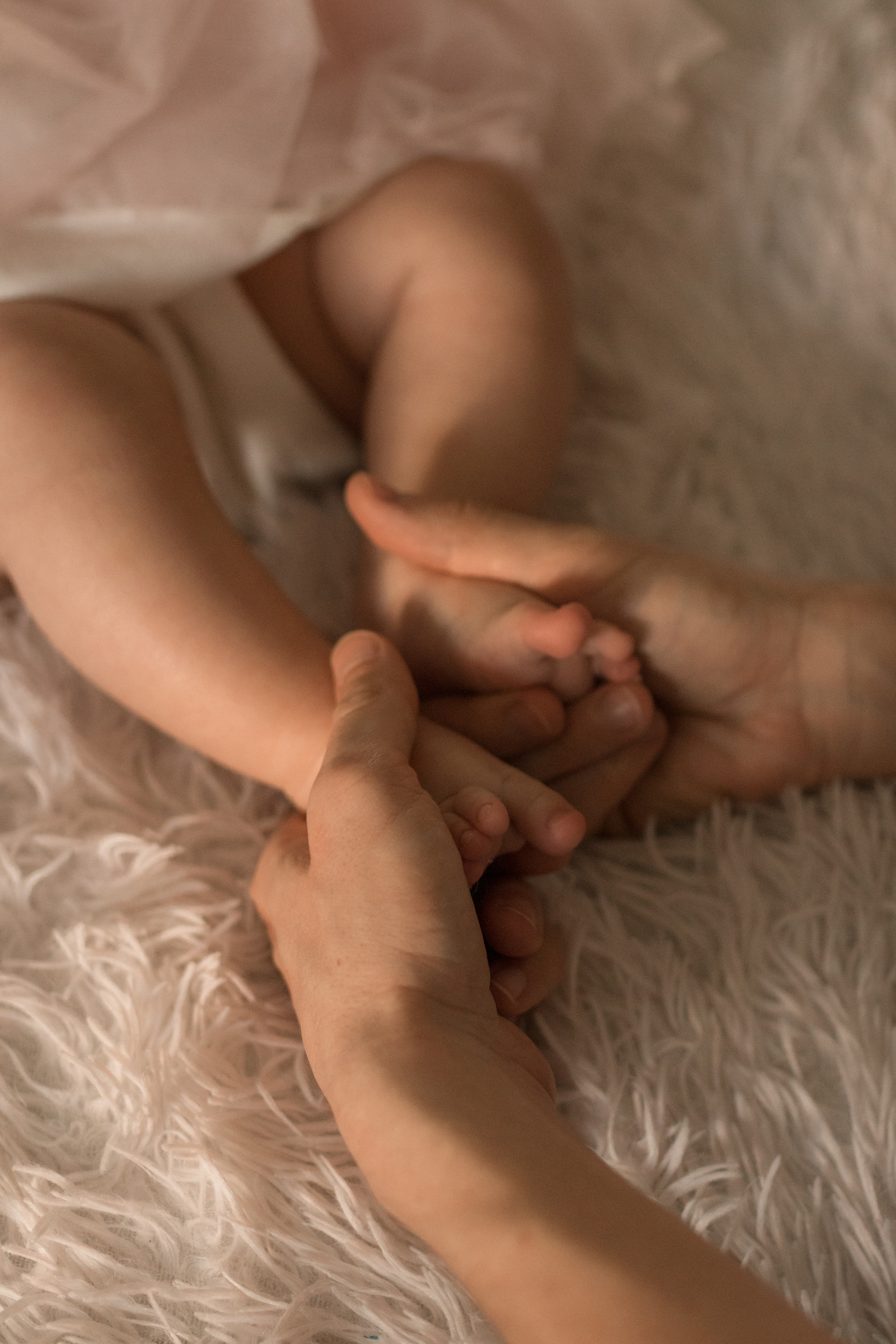 Домашняя. Фотограф в Краснодаре Арина Кудряшова