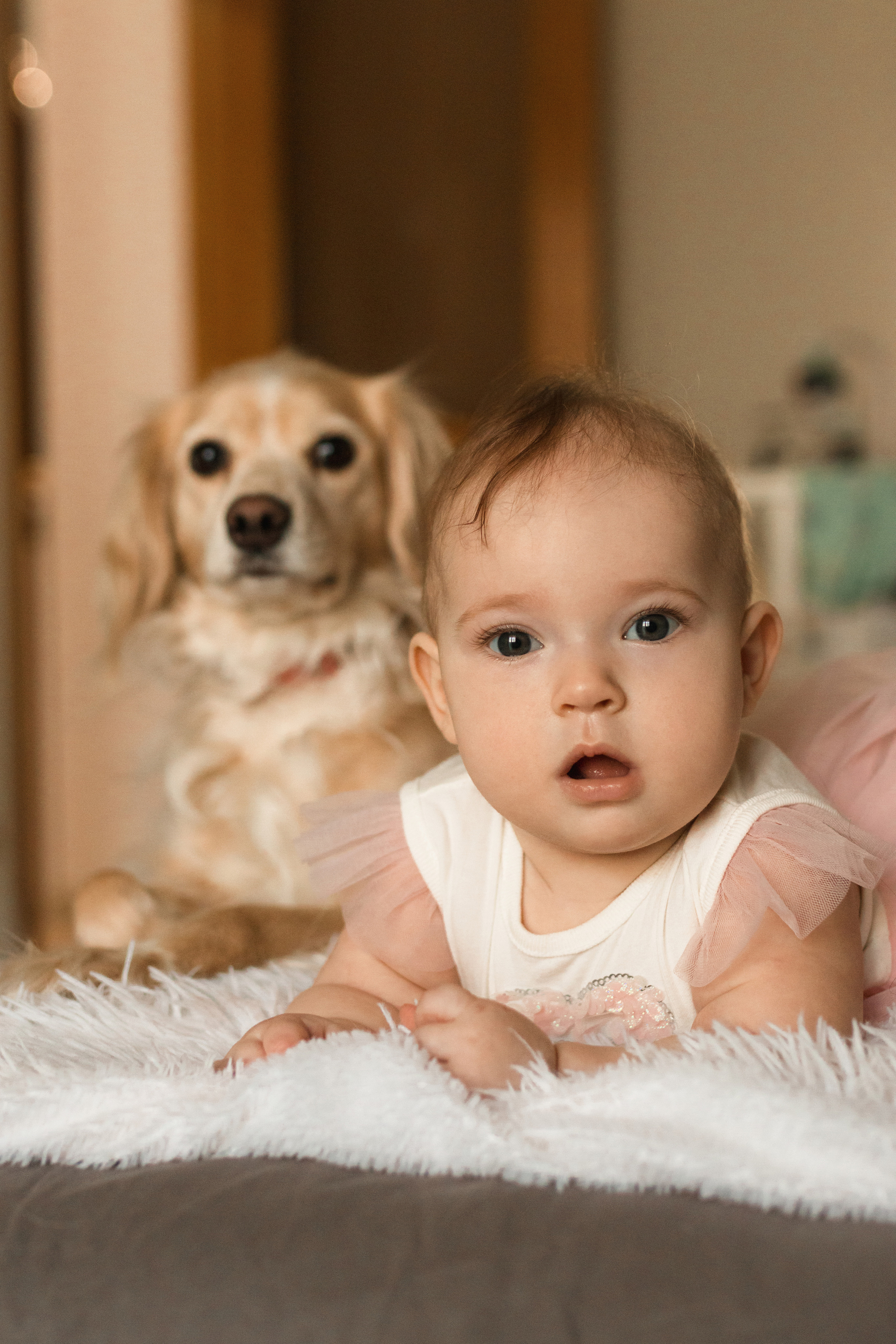 Домашняя. Фотограф в Краснодаре Арина Кудряшова