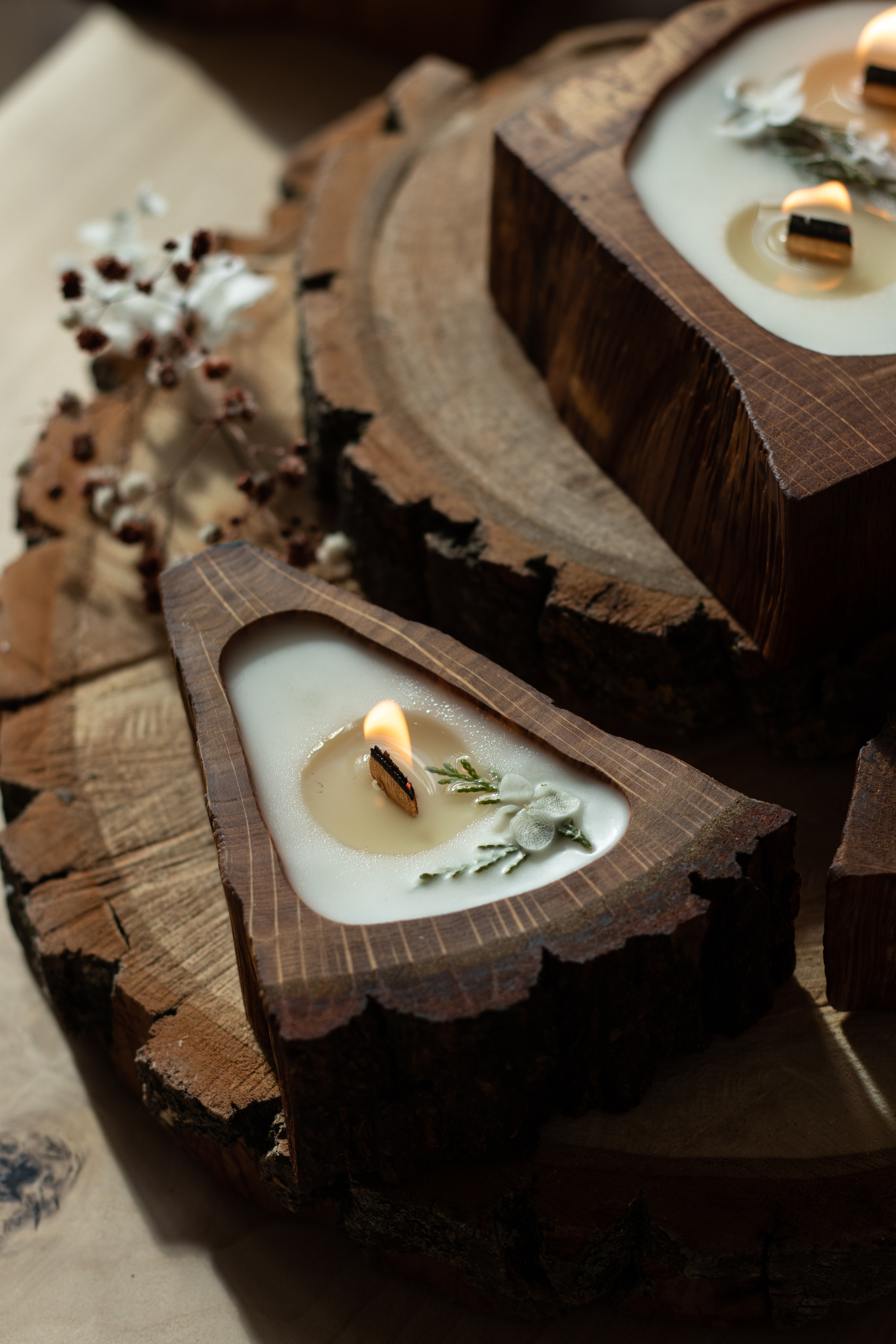 Свечи в дереве. Фотограф в Краснодаре Арина Кудряшова