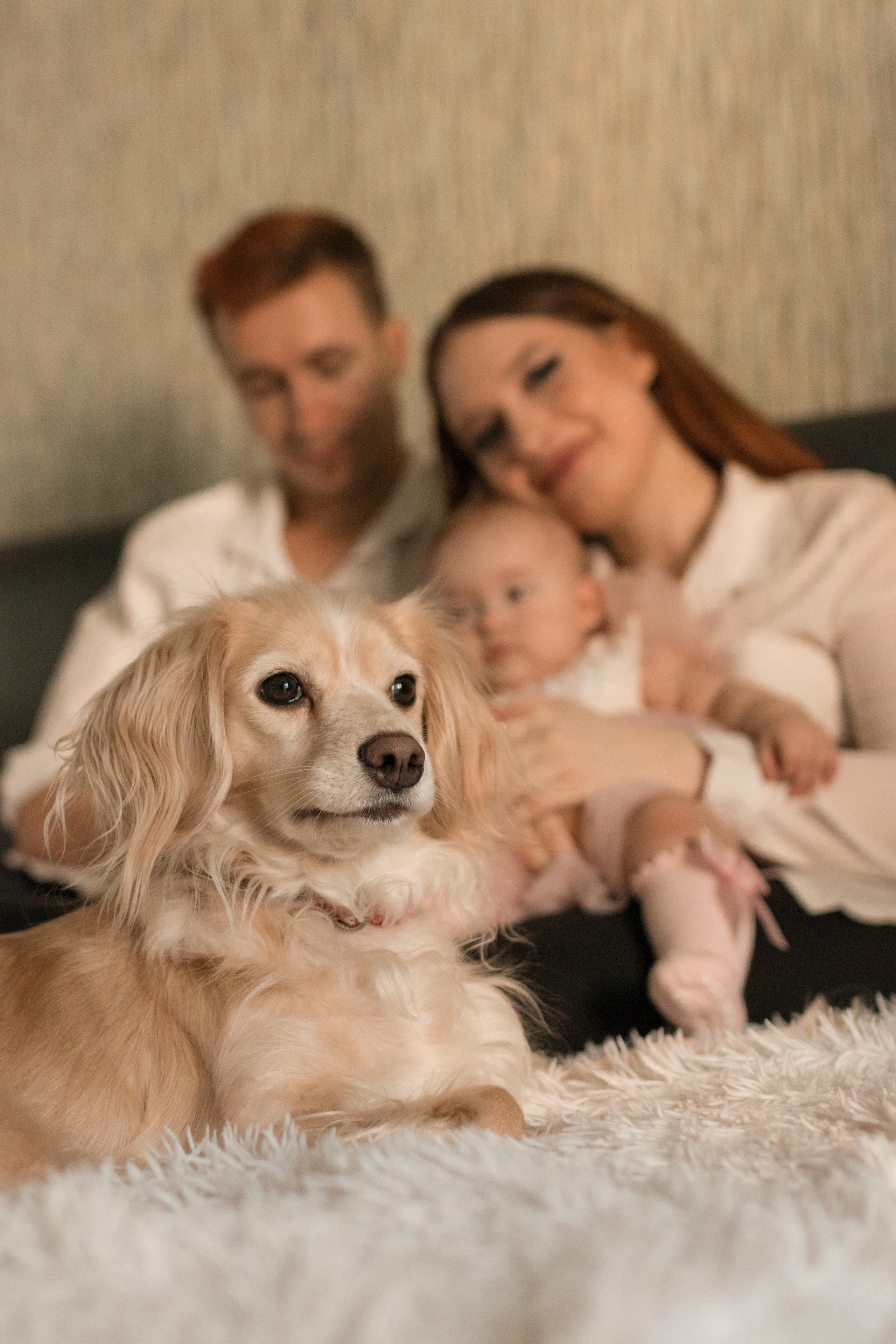 Домашняя. Фотограф в Краснодаре Арина Кудряшова