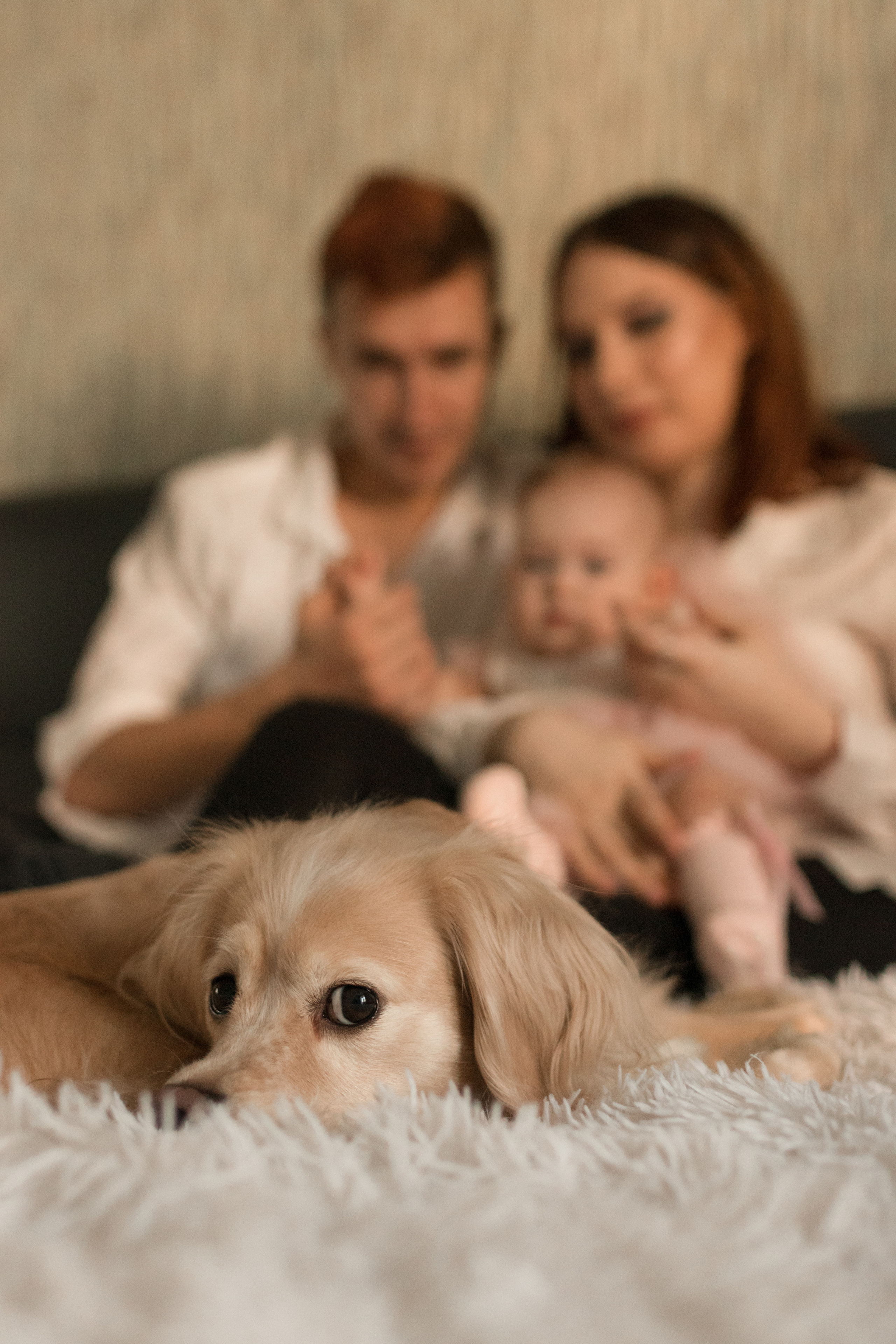 Домашняя. Фотограф в Краснодаре Арина Кудряшова