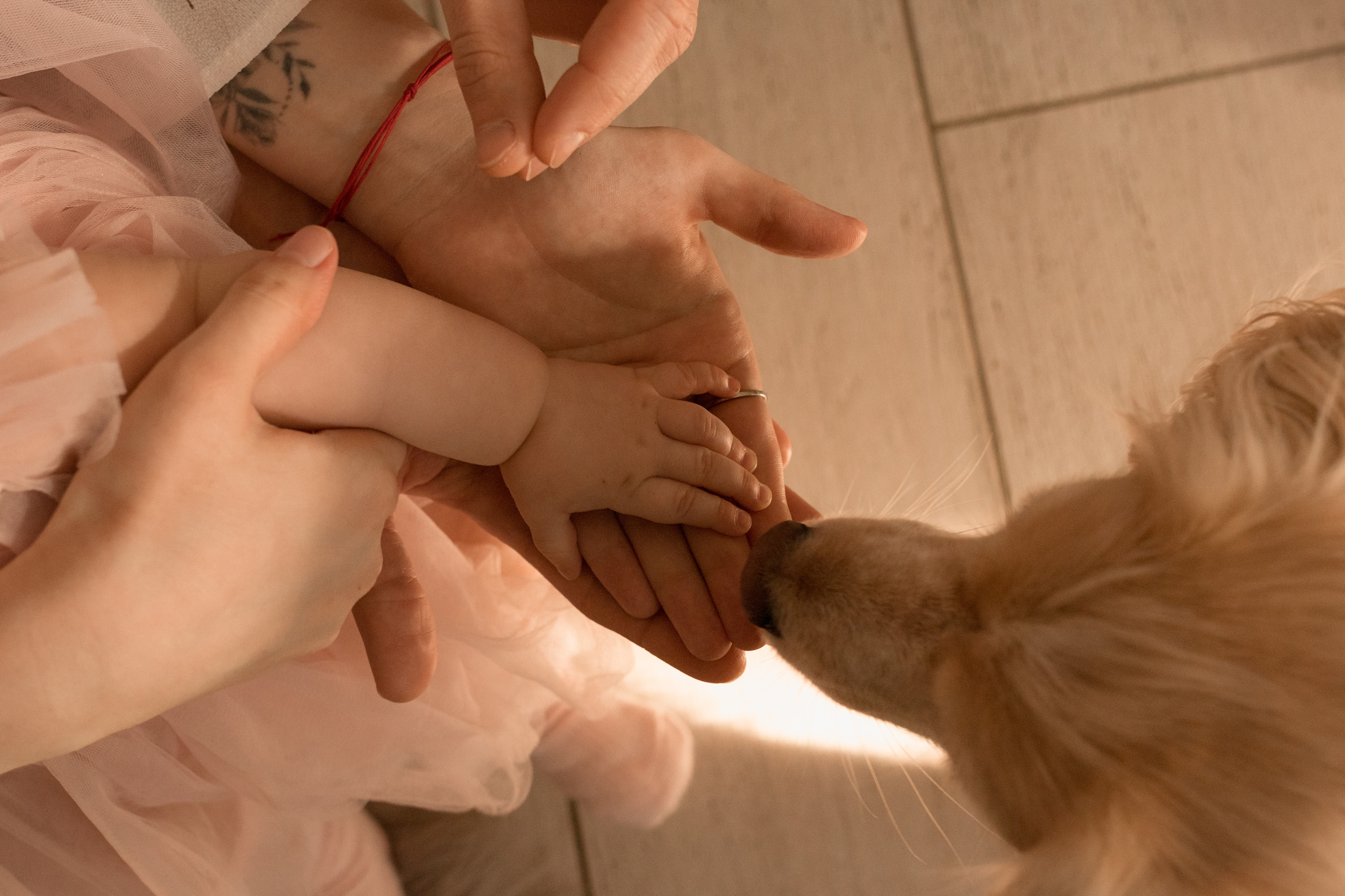 Домашняя. Фотограф в Краснодаре Арина Кудряшова