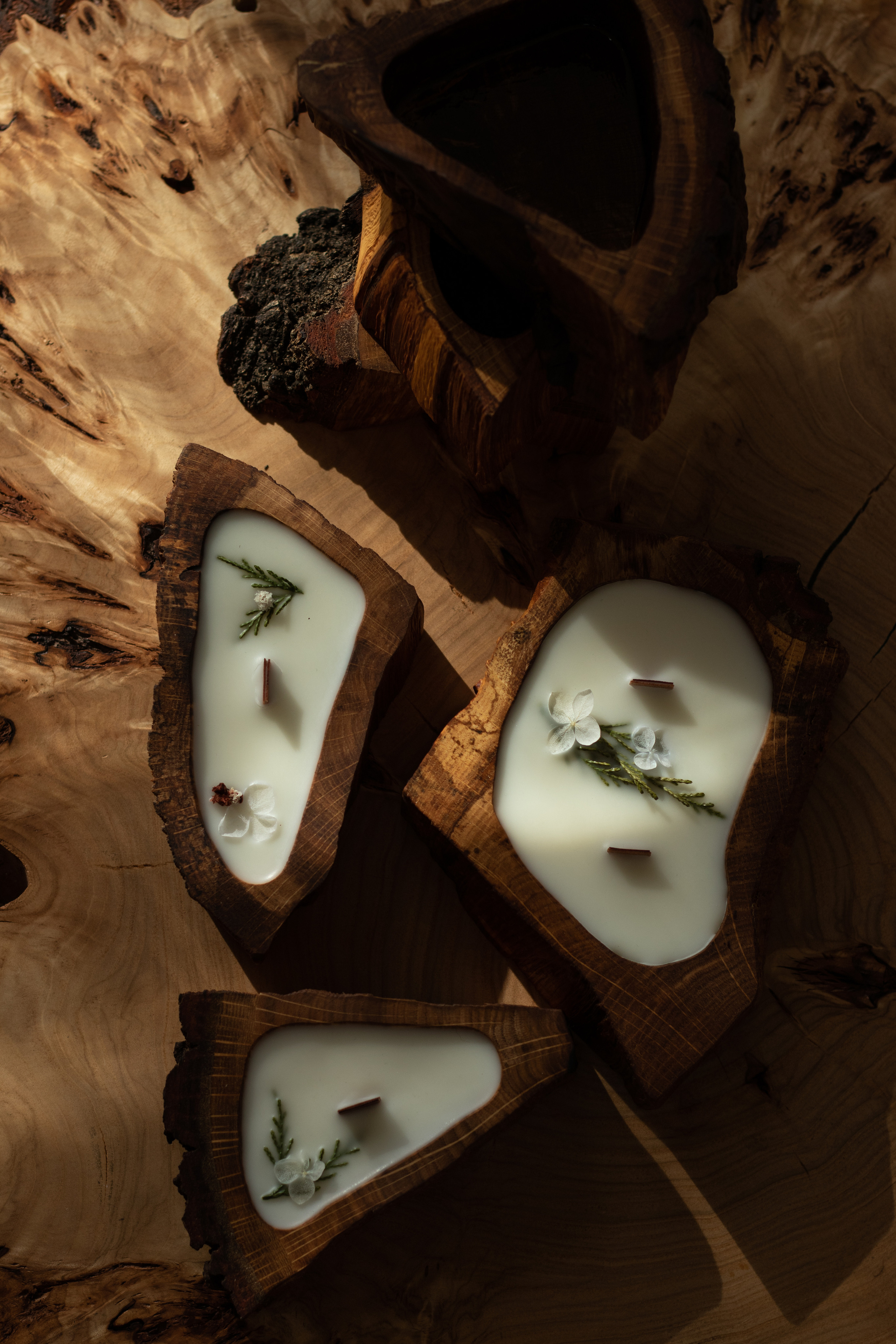 Свечи в дереве. Фотограф в Краснодаре Арина Кудряшова