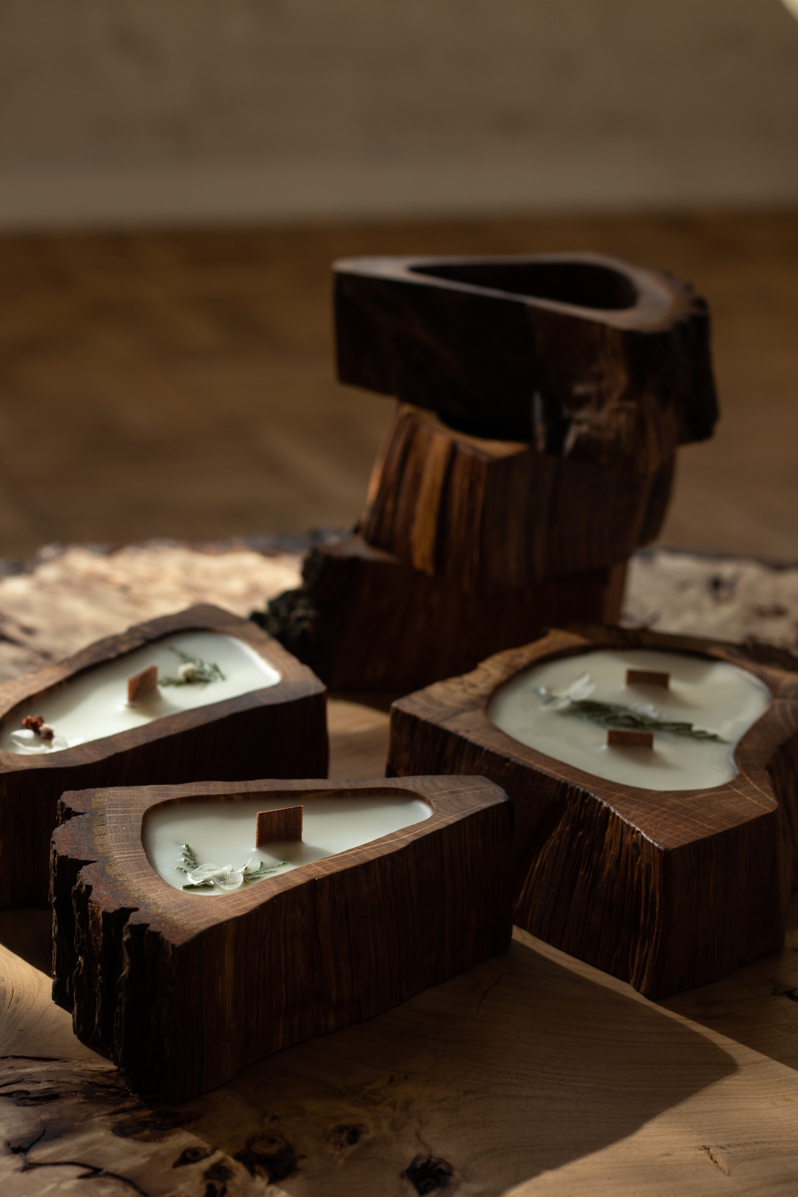 Свечи в дереве. Фотограф в Краснодаре Арина Кудряшова