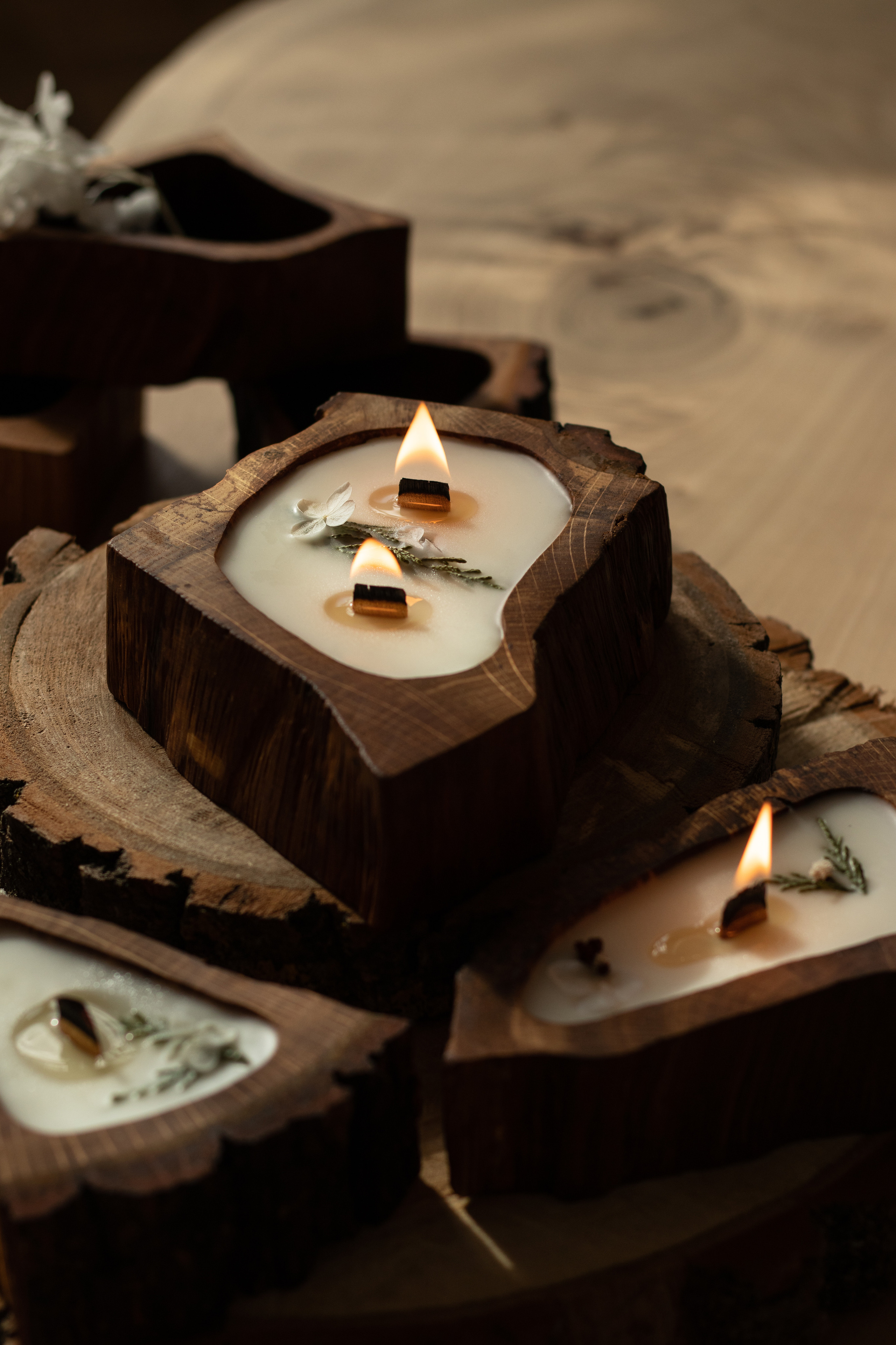 Свечи в дереве. Фотограф в Краснодаре Арина Кудряшова