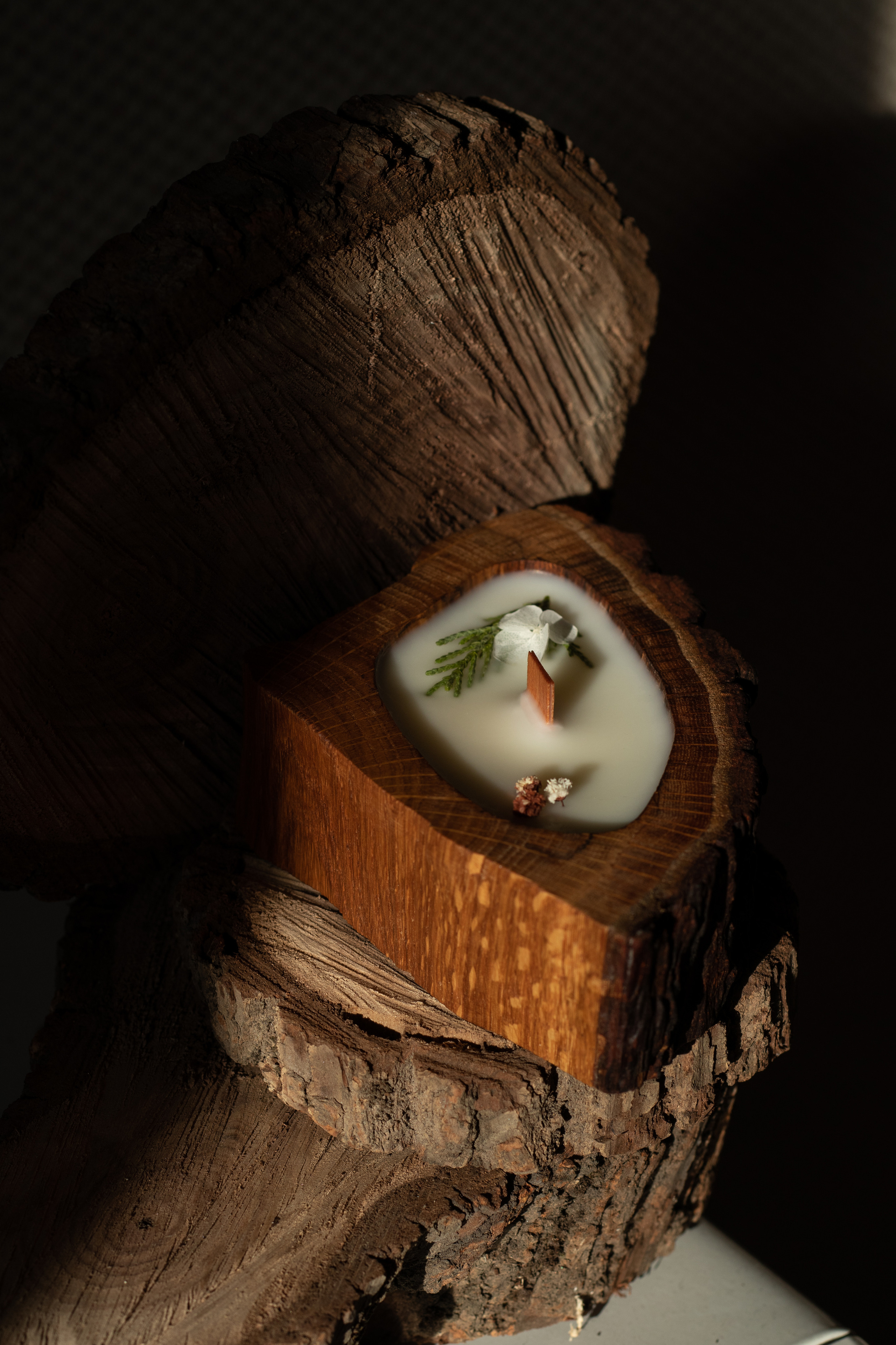 Свечи в дереве. Фотограф в Краснодаре Арина Кудряшова