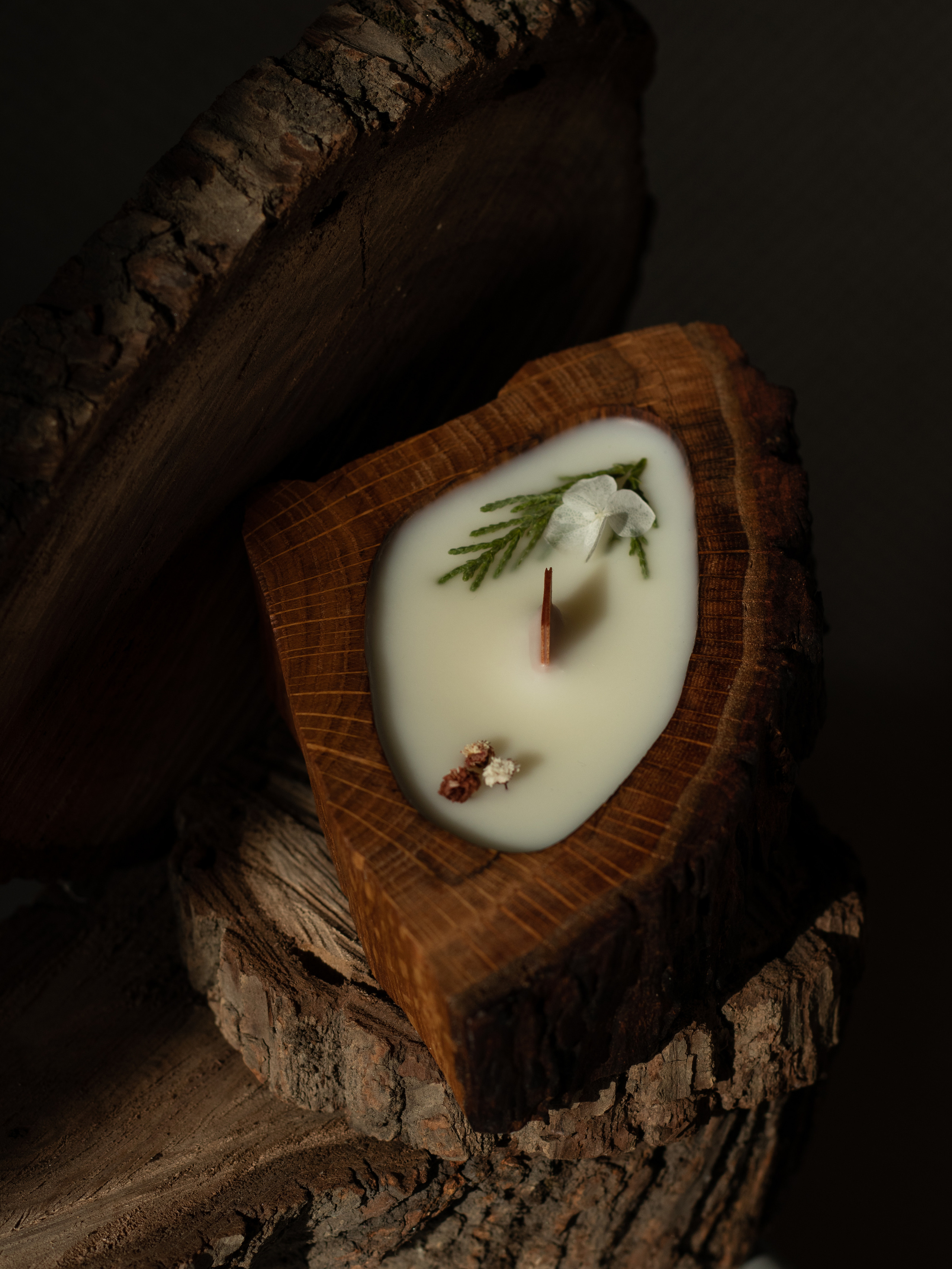 Свечи в дереве. Фотограф в Краснодаре Арина Кудряшова
