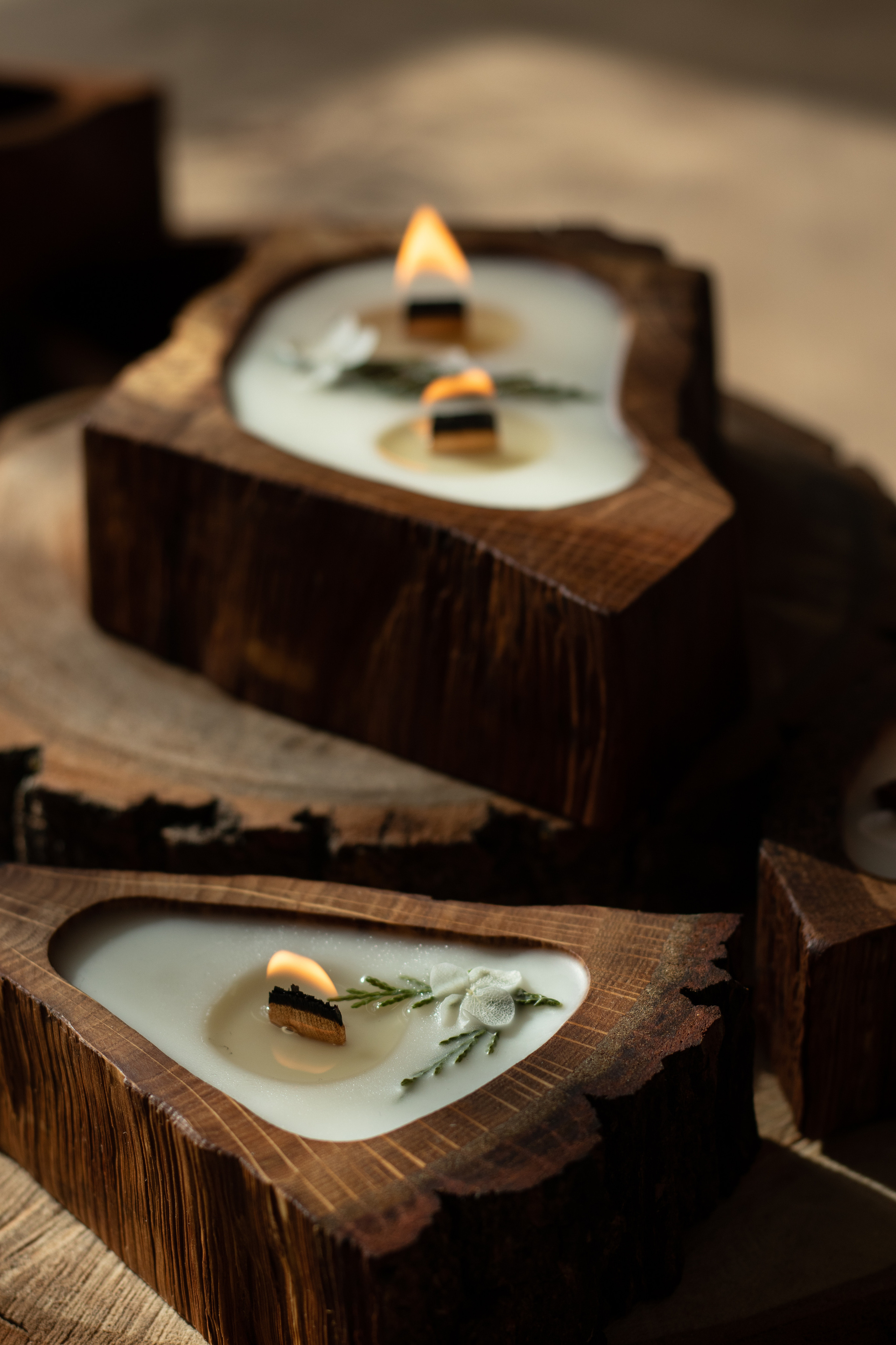 Свечи в дереве. Фотограф в Краснодаре Арина Кудряшова