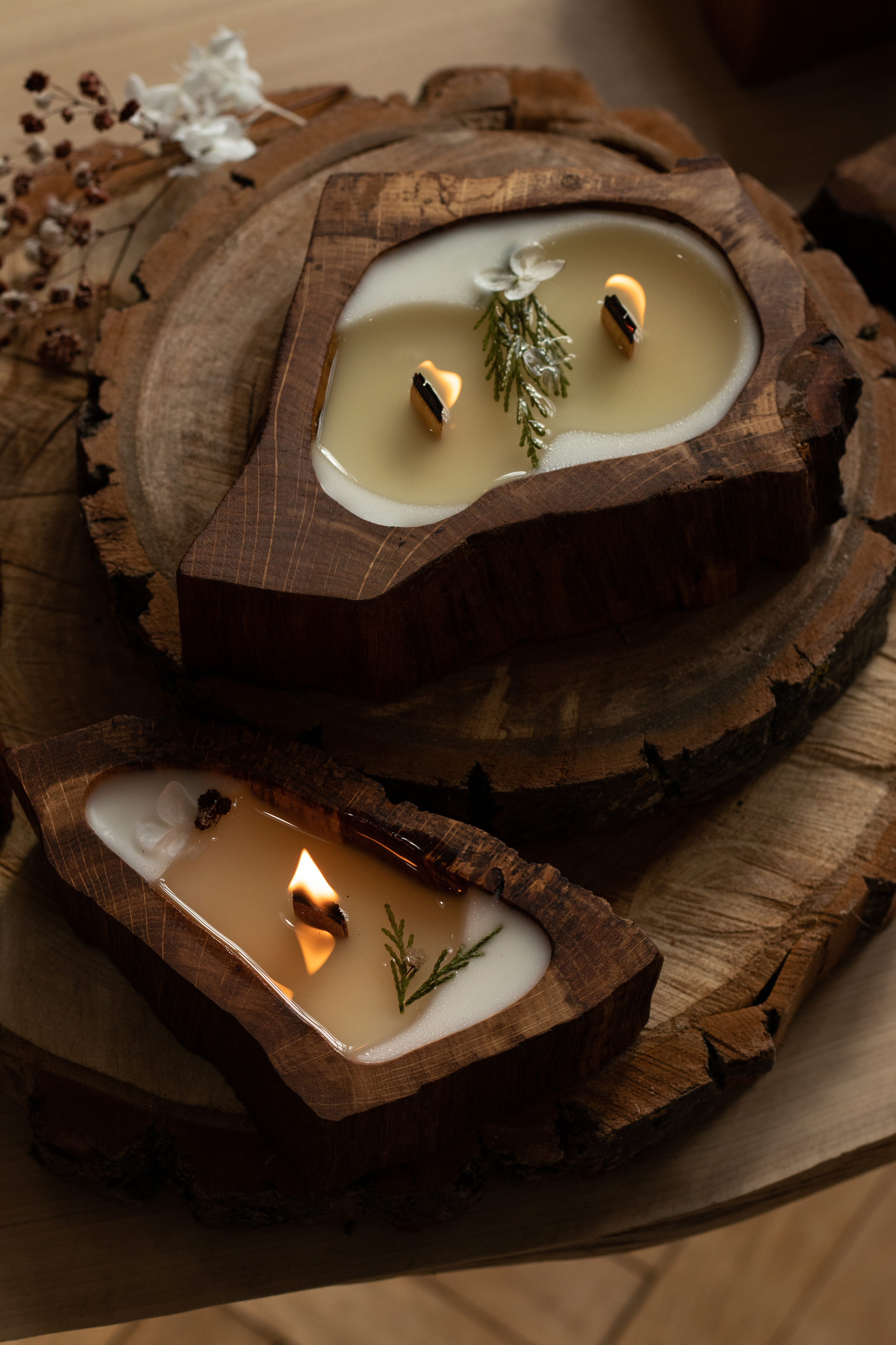 Свечи в дереве. Фотограф в Краснодаре Арина Кудряшова