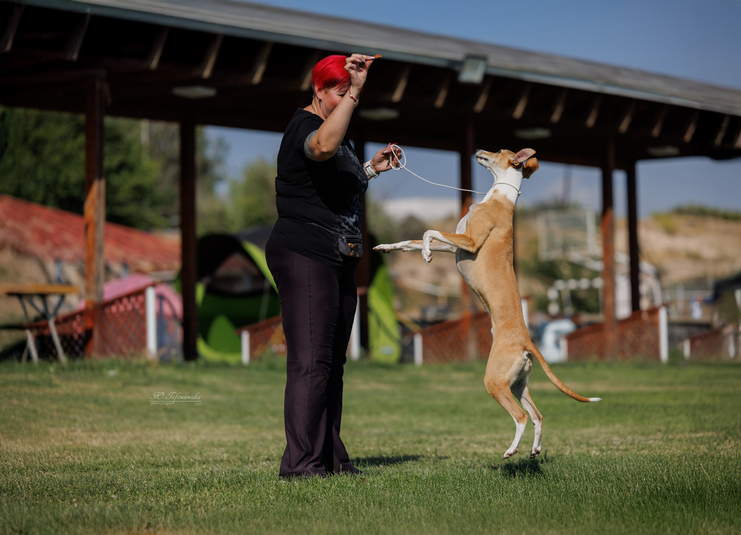 Ереван 3хCACIB 23-25.06.2025. Фотограф-анималист Юлия Германика