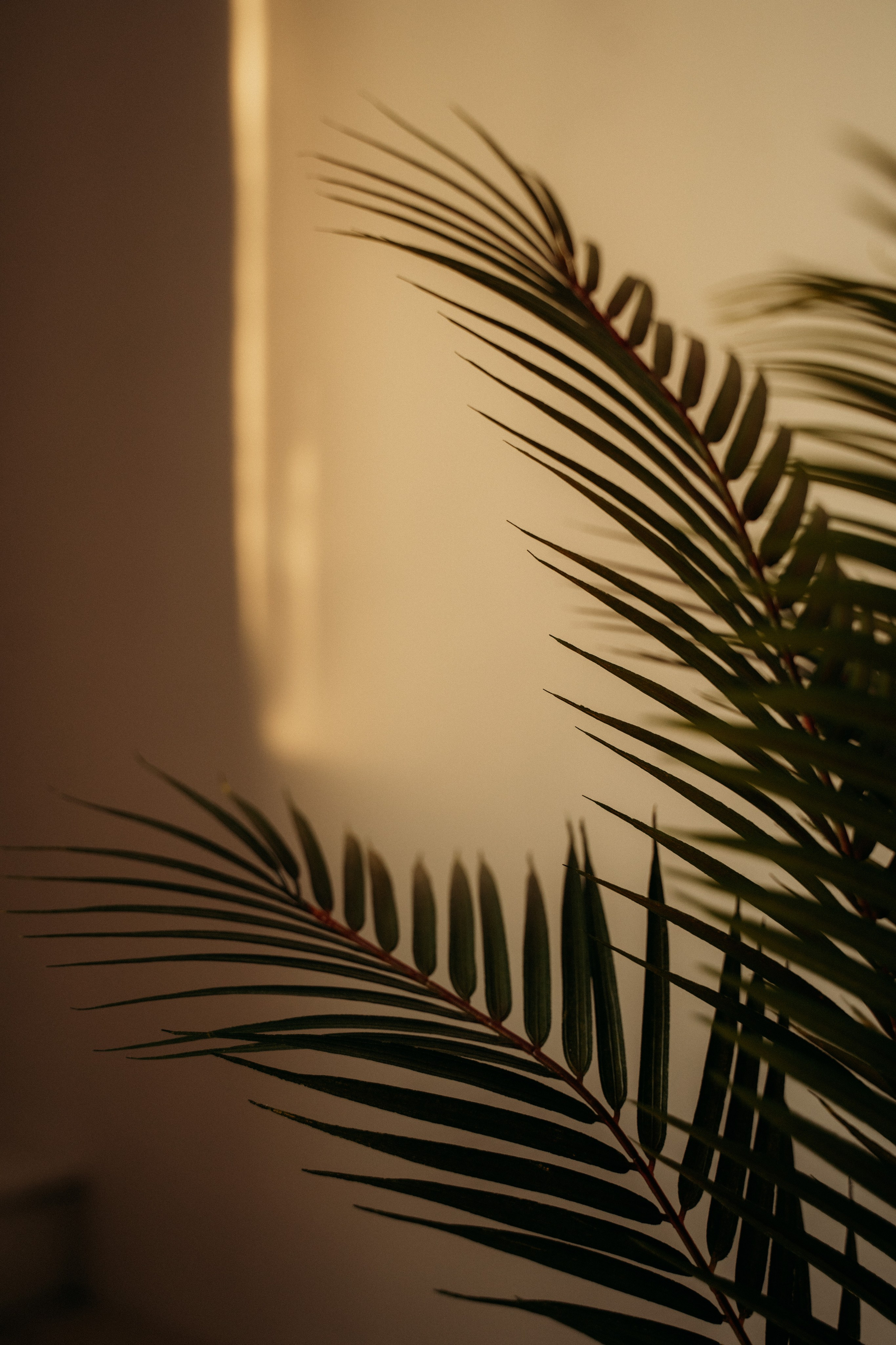 Студийные Локации