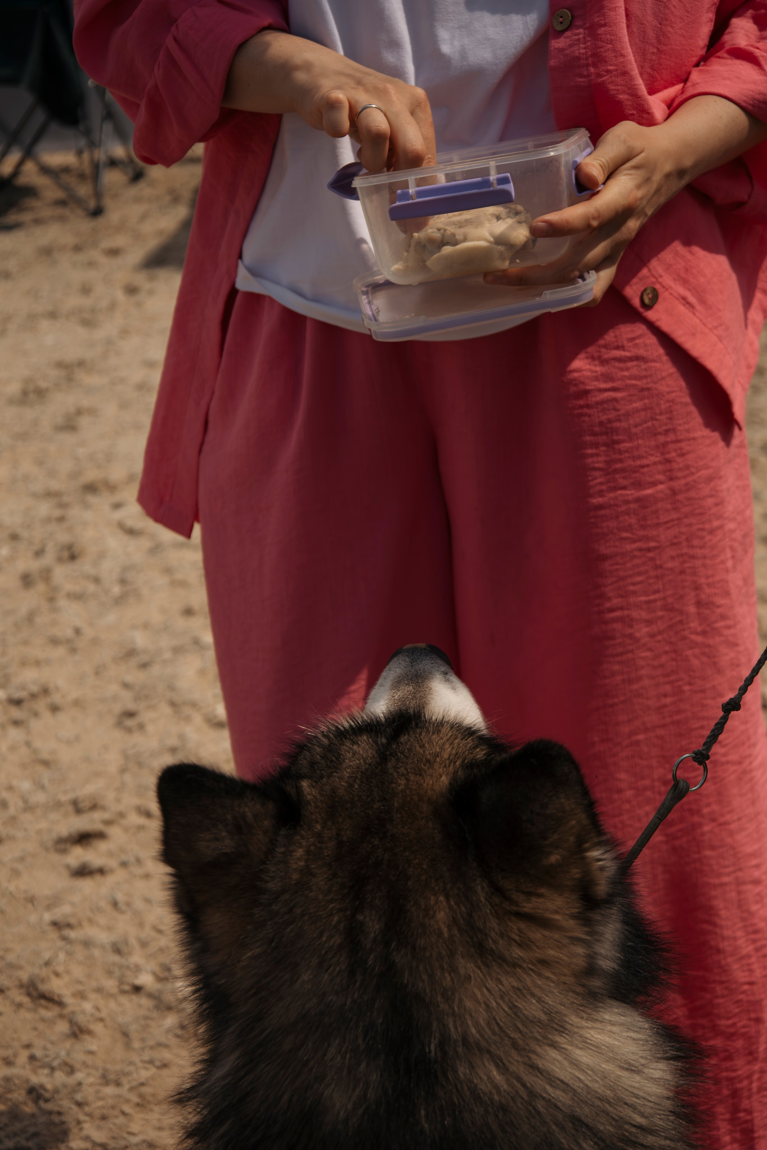 Россия 2025. Фотограф-анималист в Москве Екатерина Тихонова