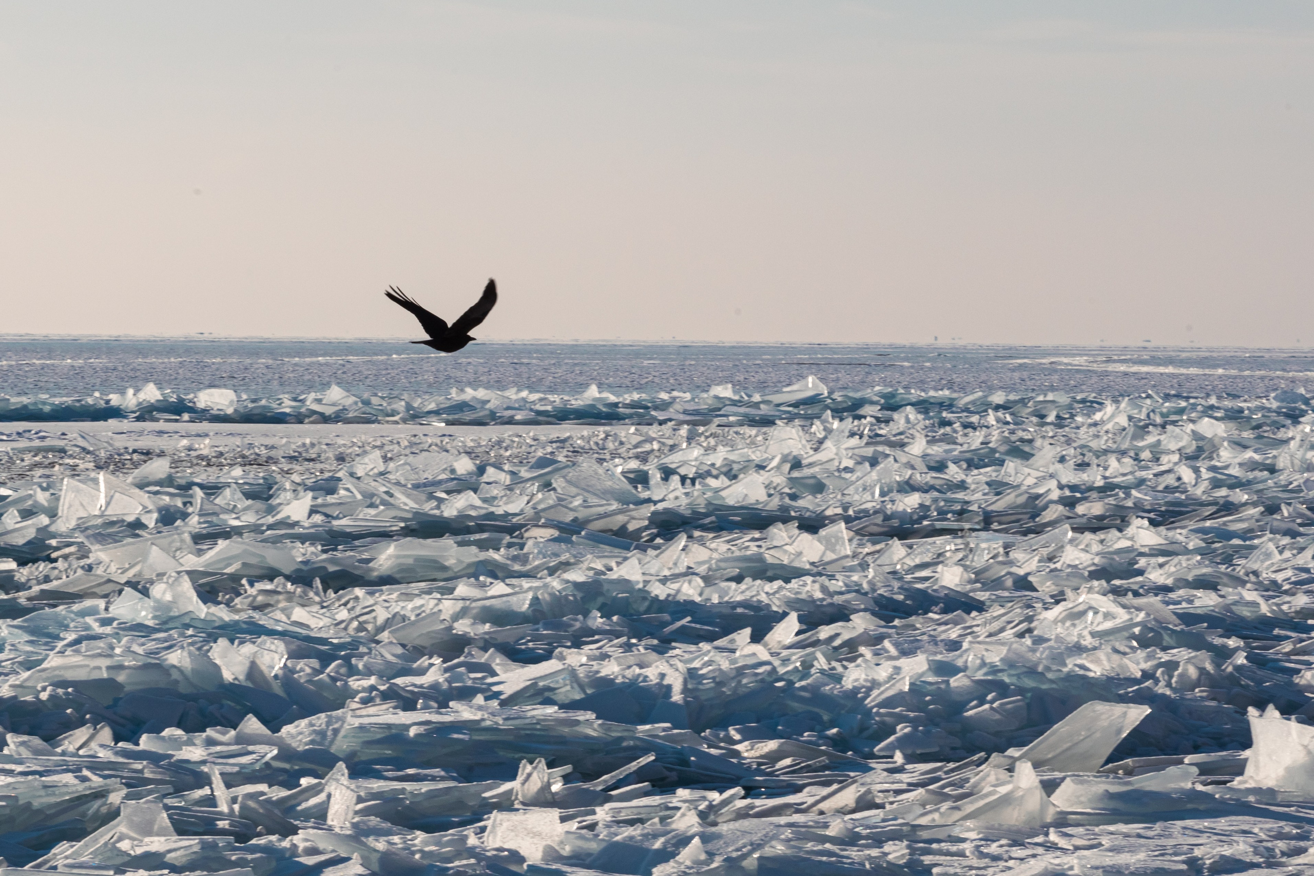 Байкал. Фотограф в Красноярске Оксана Корчагина