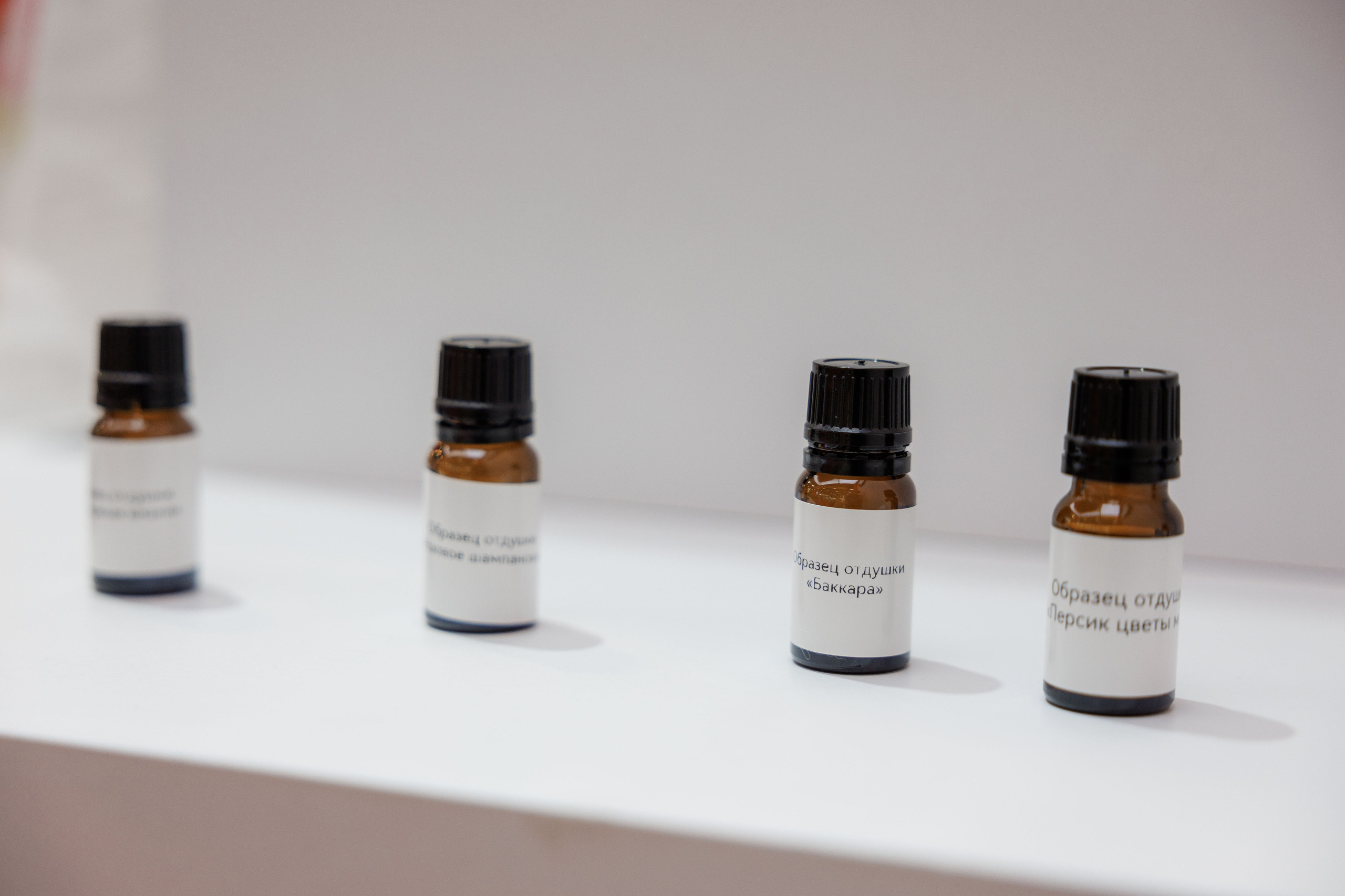 Рязанская делегация. About