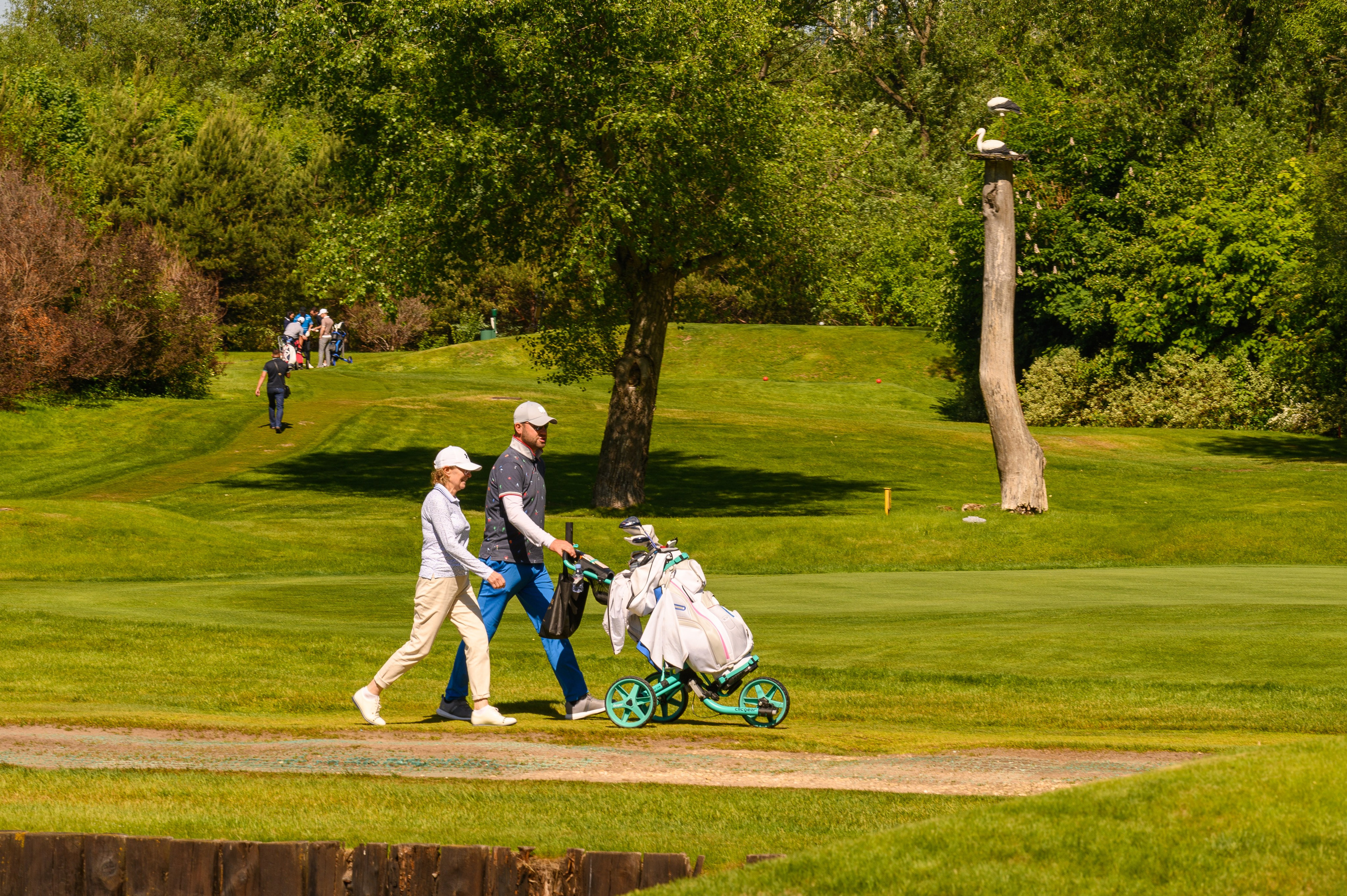Гольф. Фотограф Сергей Белов | Москва