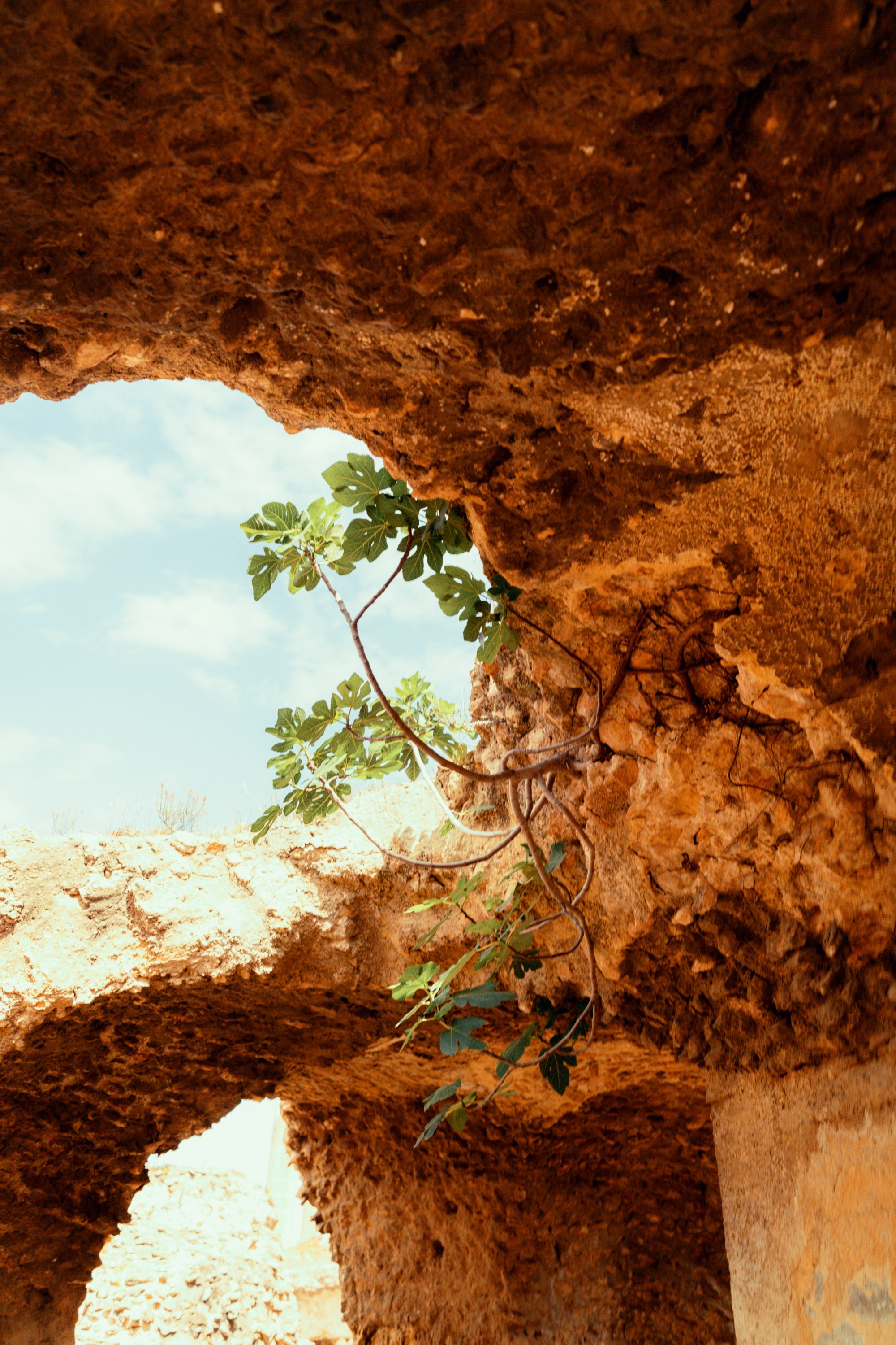 Северная Африка: Тунис, Марокко. Фотограф в Хабаровске. Фотография за 24 часа