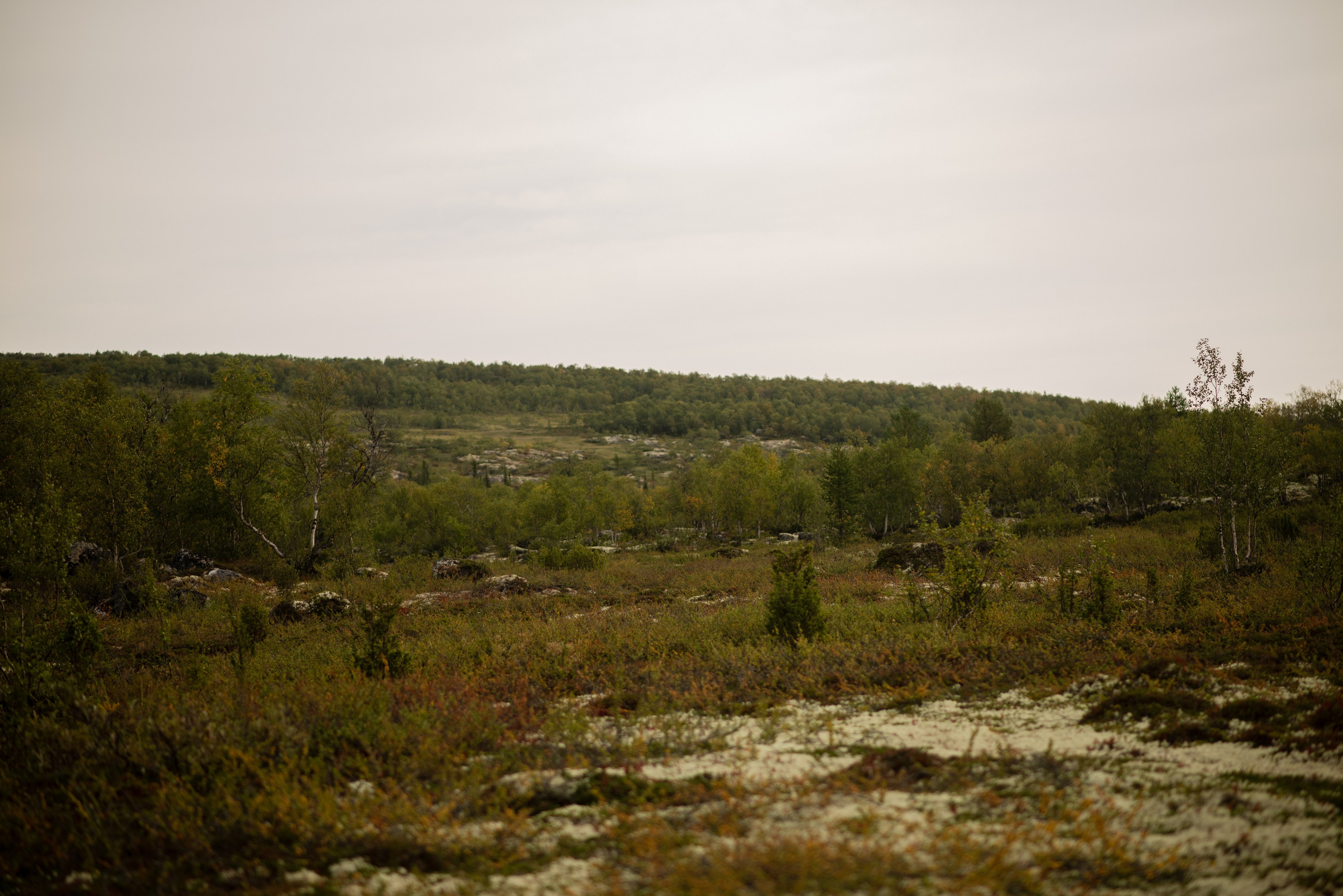 Заполярье. Мурманская область. Поселок Луостари. Река Титовка. Озеро Вайявр. Гора Нармвара. 18–28 августа 2024 г. Юлия Щёкотова | Портретный и семейный фотограф | Вологда