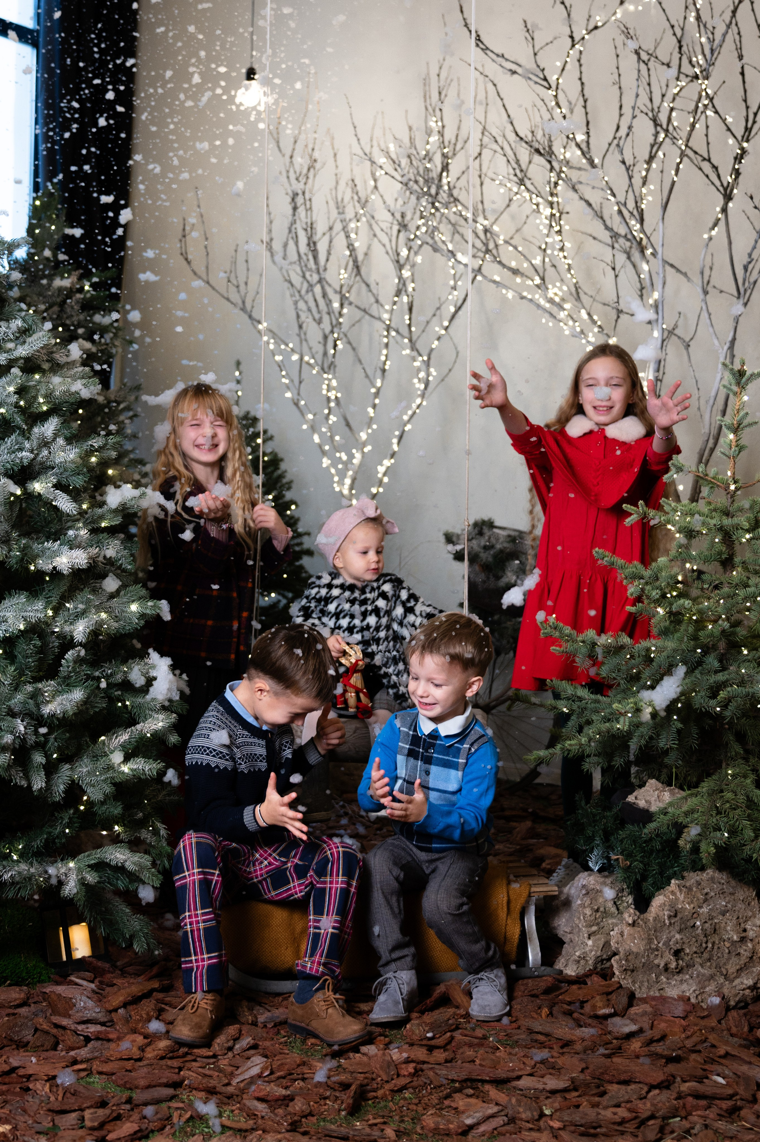 Гномики. Главная