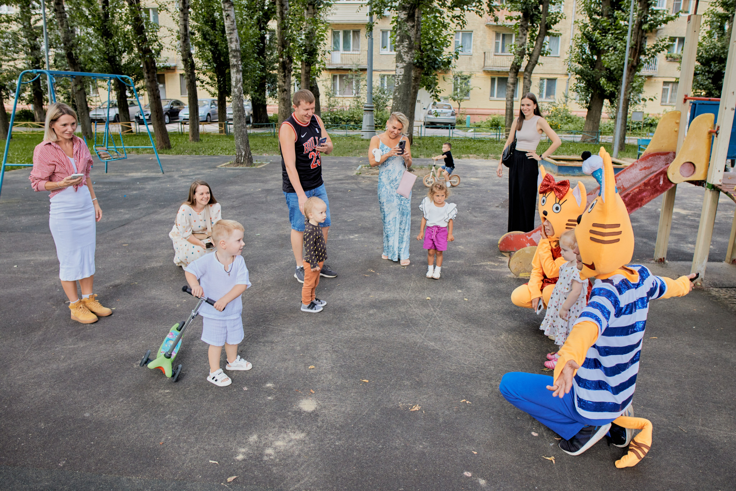 Три кота. Фотограф Москва