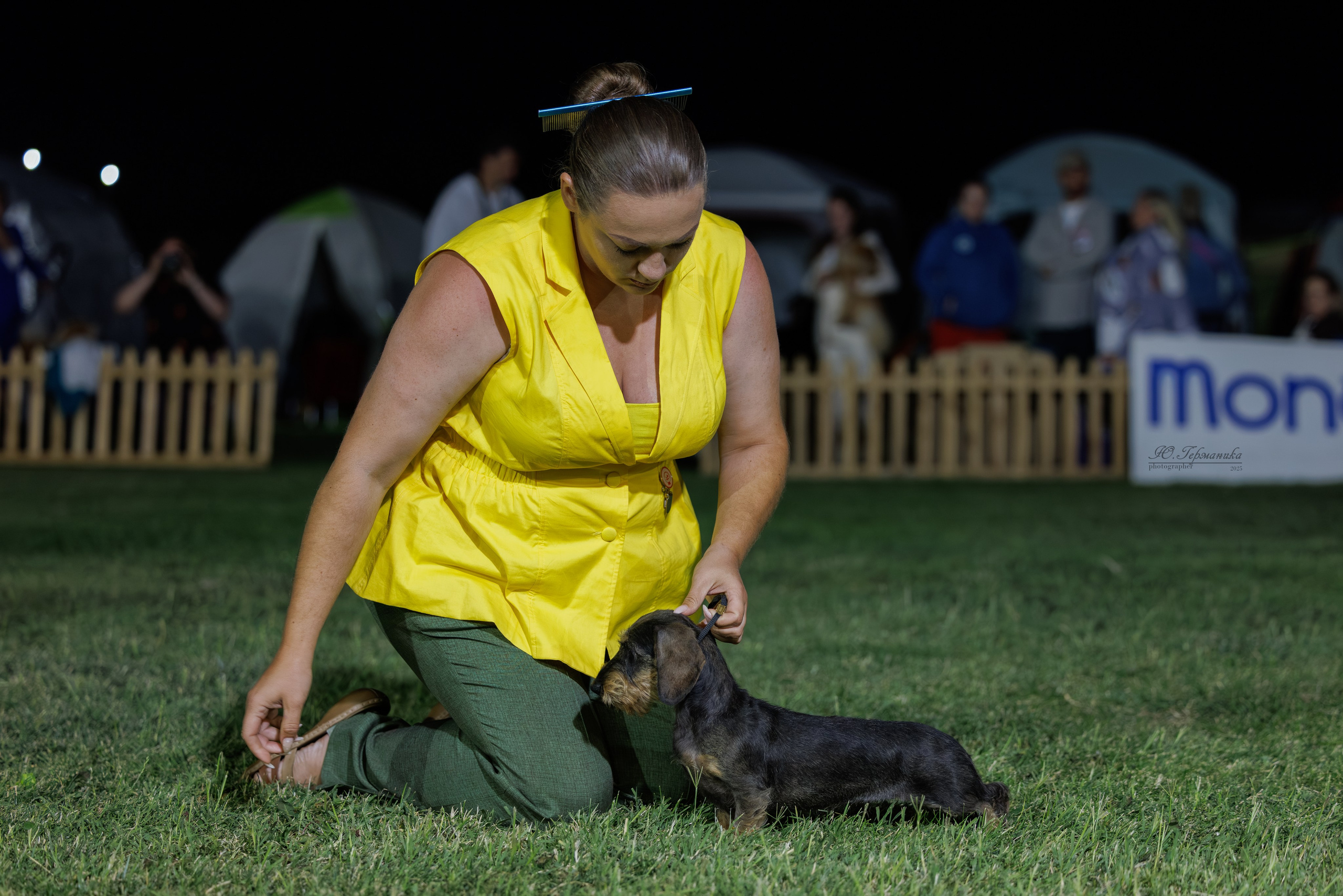 Ереван 3хCACIB 23-25.06.2025. Фотограф-анималист Юлия Германика