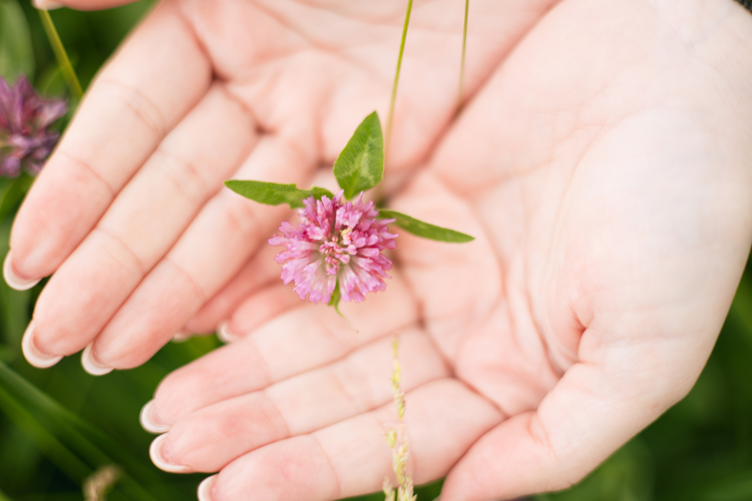 Аня. Семейный фотограф Москва, Раменское, Егорьевск Наталья Сидоренкова