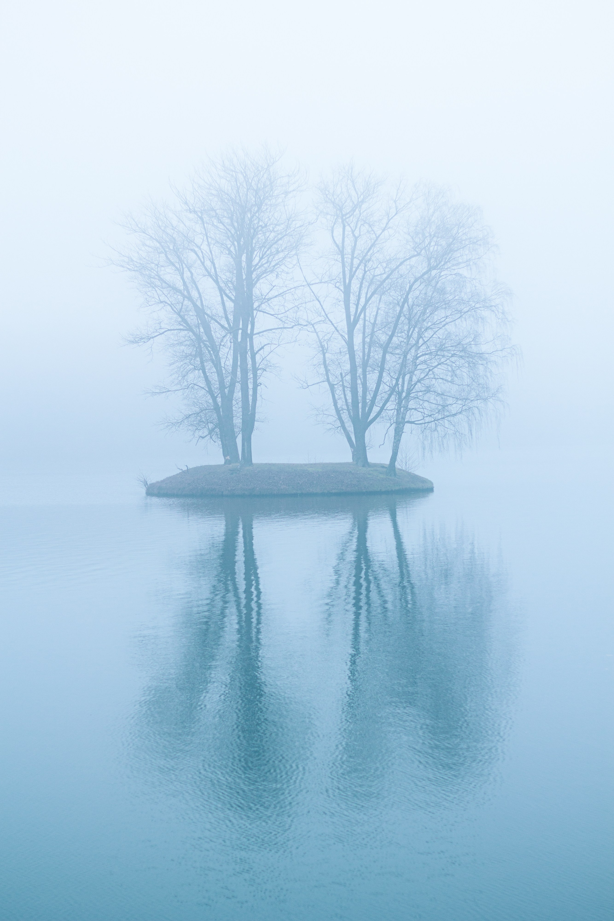 Nature. Street photographer Ksenya Loboda