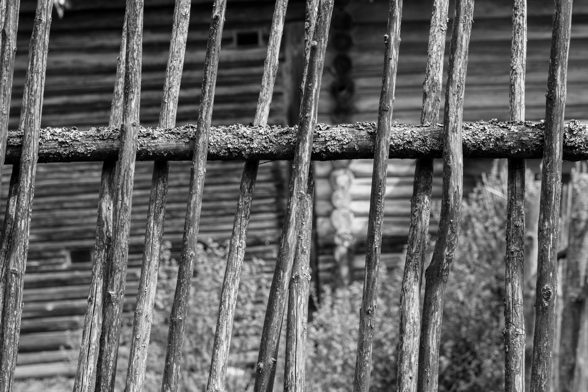 Новгород. Фотограф Алексей Скоробогатько