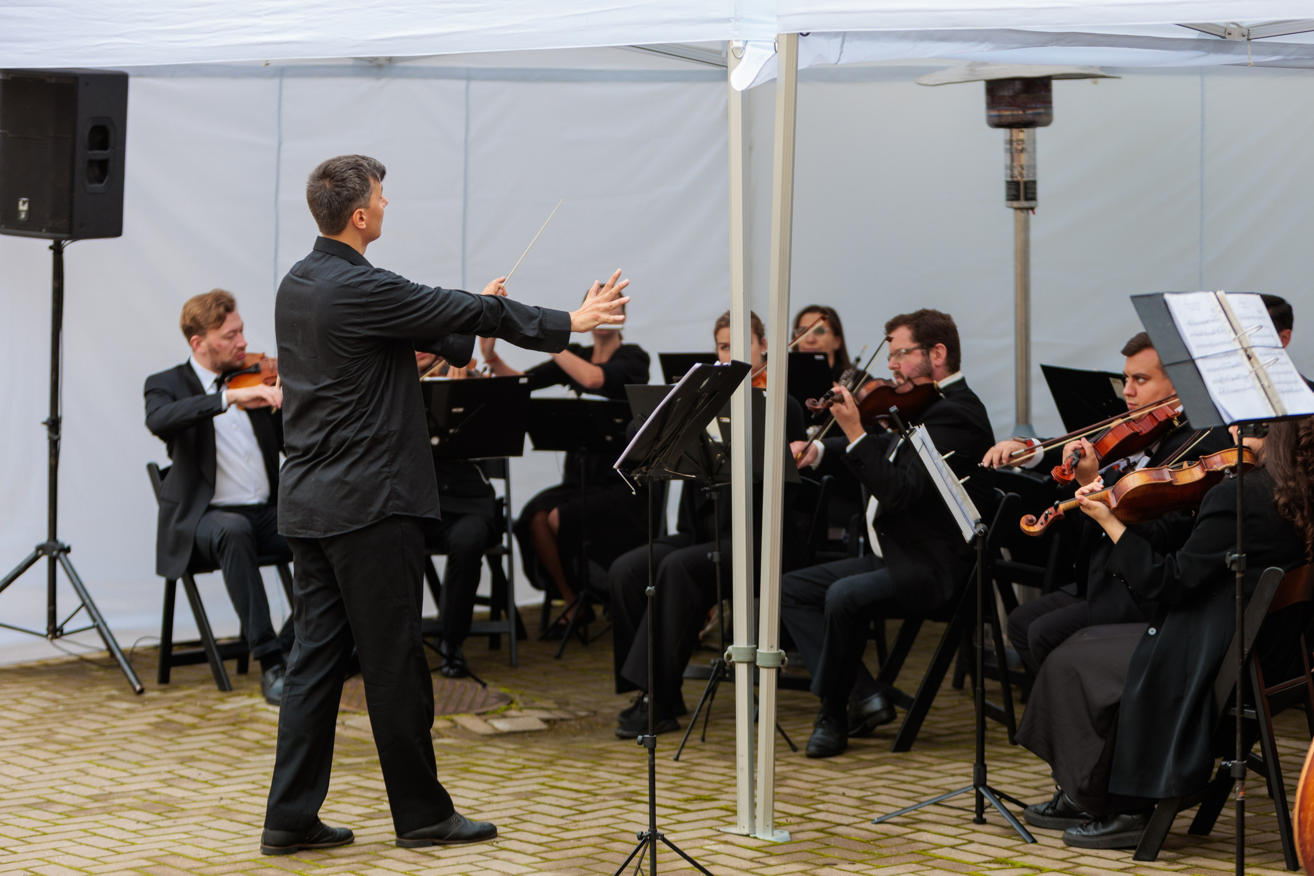 Концерт малого симфонического оркестра. Репортажный фотограф Санкт-Петербург | Роман Карбышев