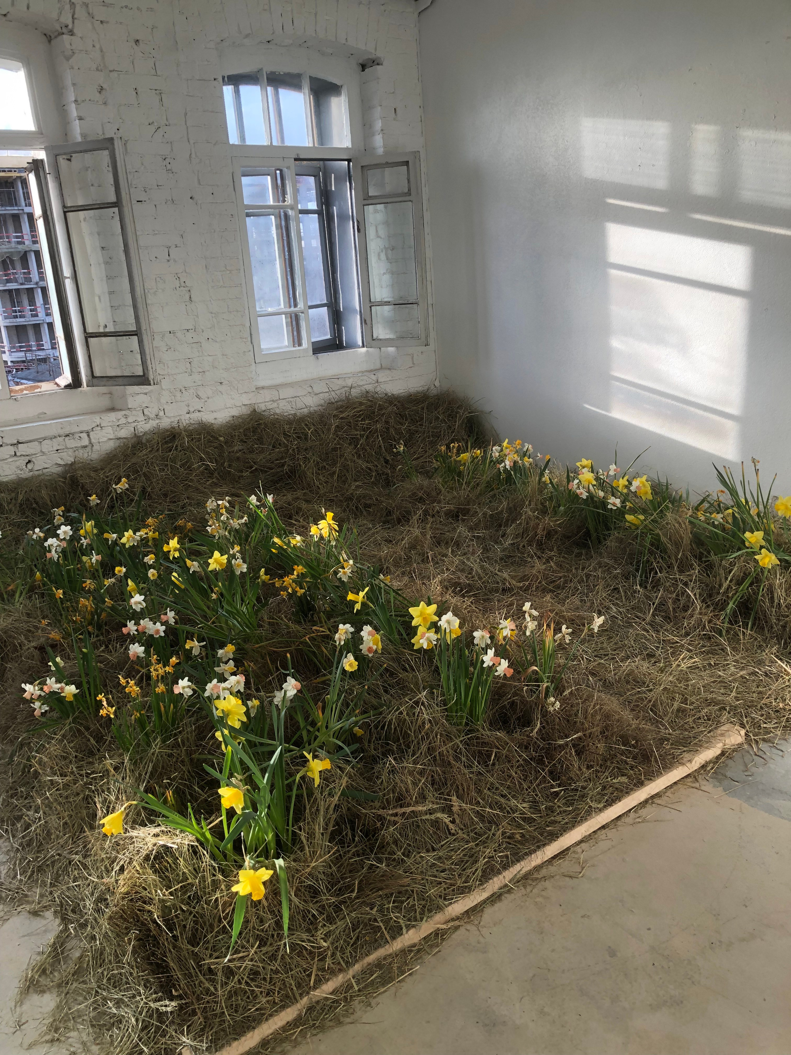 Фотостудия МОХ зал Свет. Фотограф Настя Лев