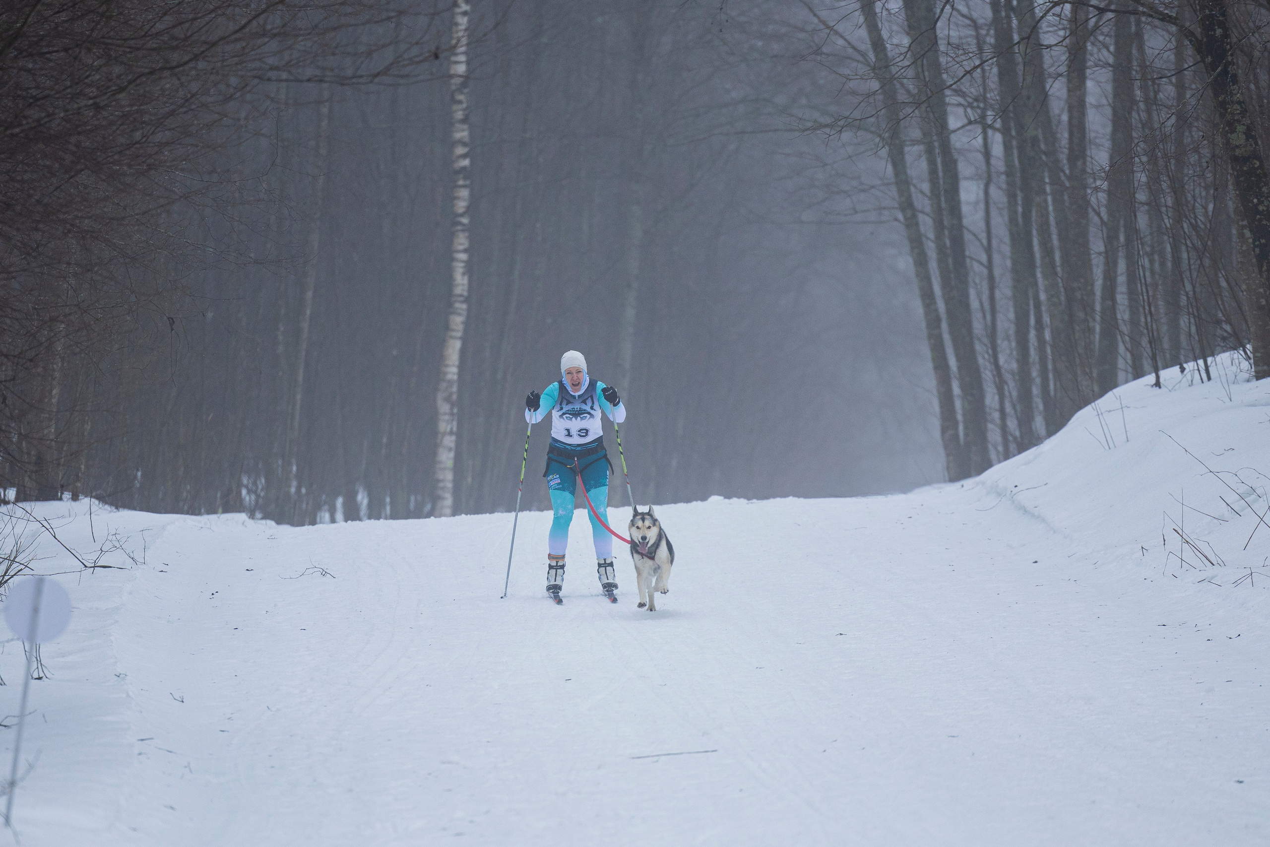 Зимний Чемпионат Санкт-Петербурга по ездовому спорту. Фотограф-анималист Анна Маринич