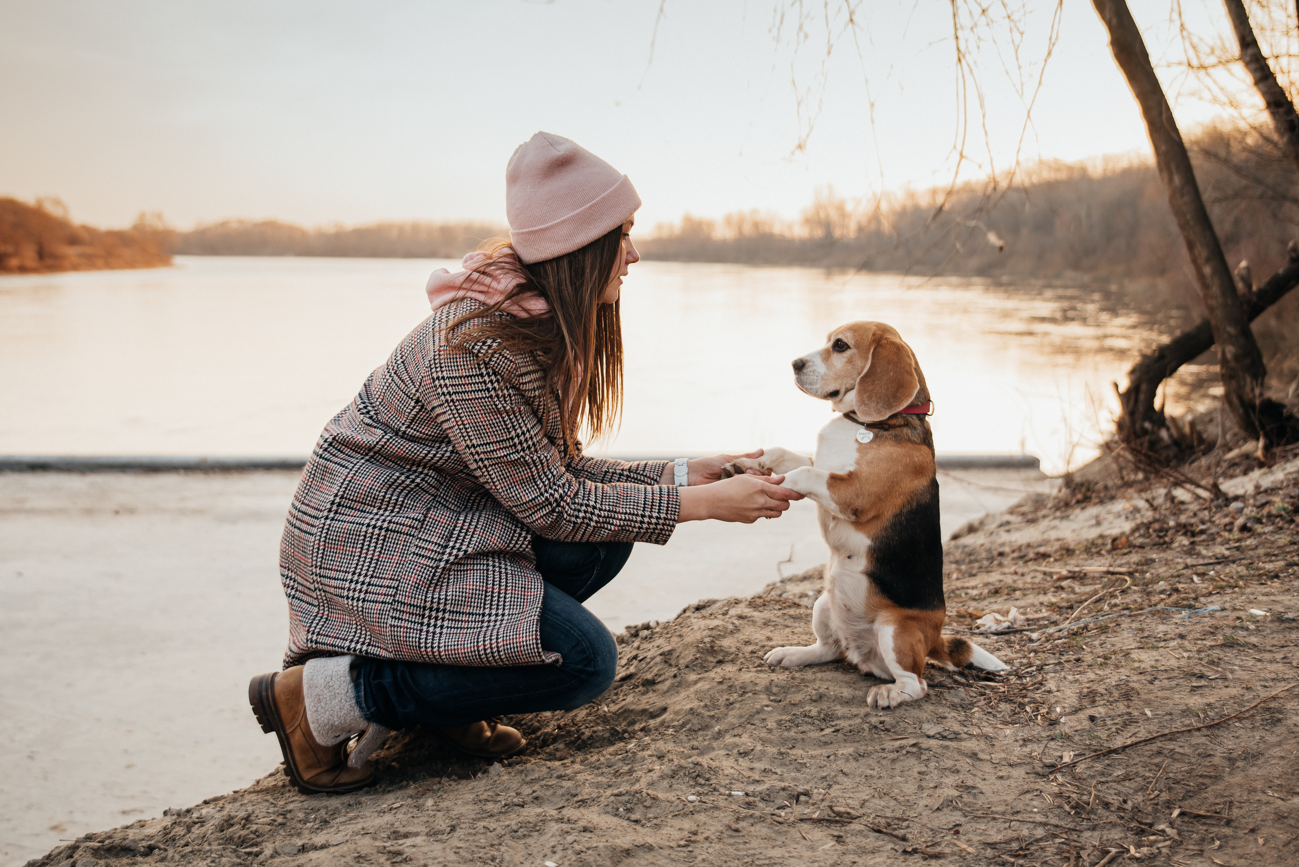 Фотопрогулка с собакой. Фотограф Москва