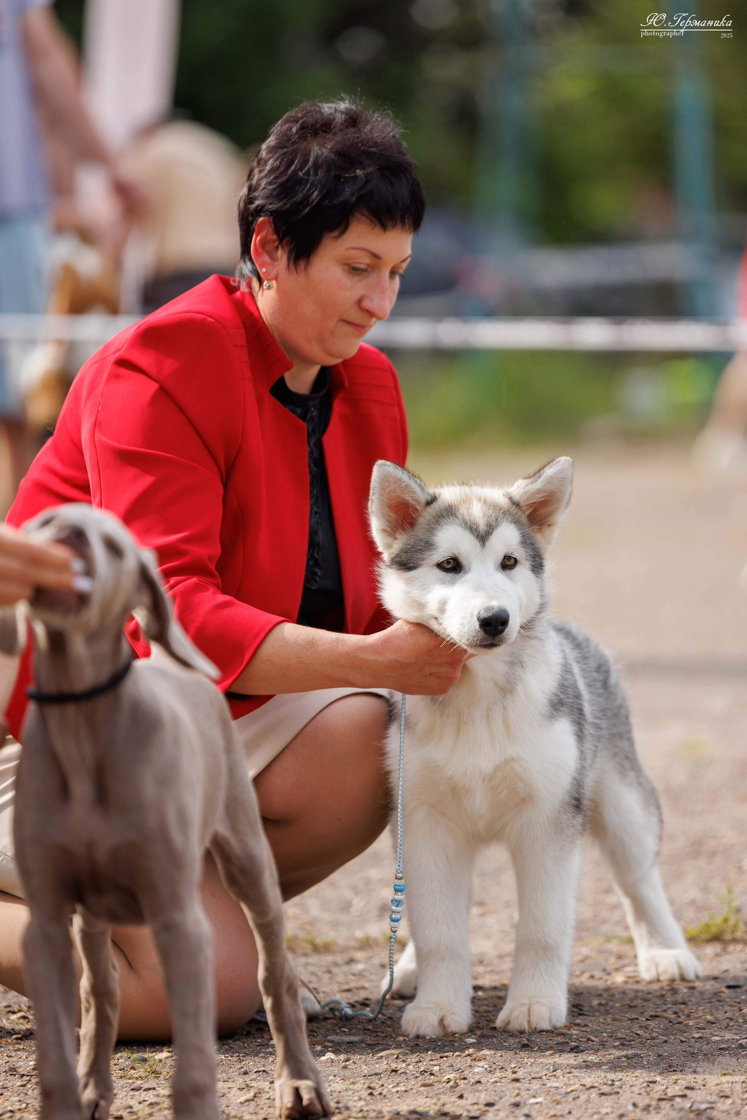 Тверь 10.08.2025. Фотограф-анималист Юлия Германика