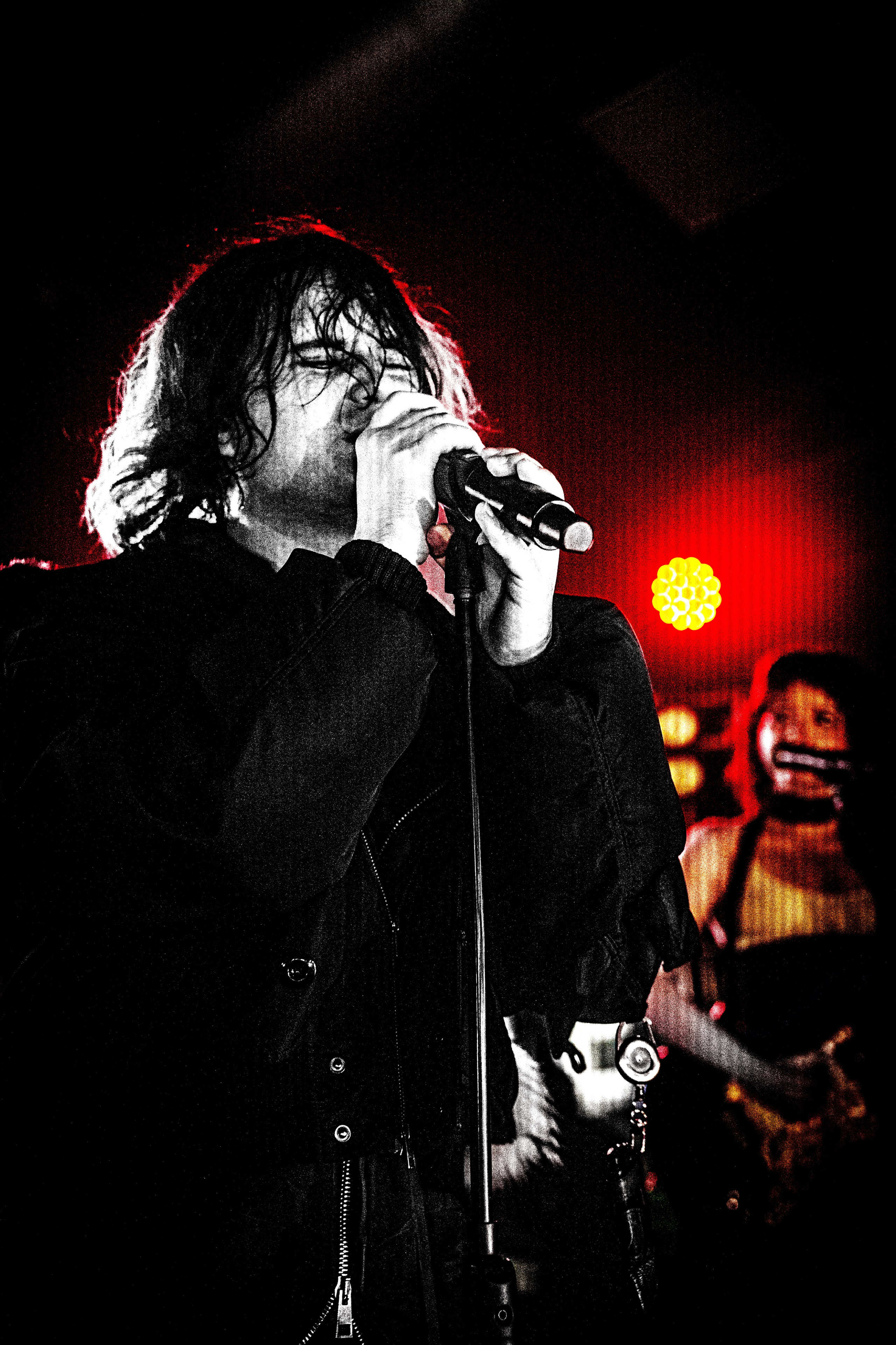 SALUKI. Фотограф Герман Лебедев — Тольятти