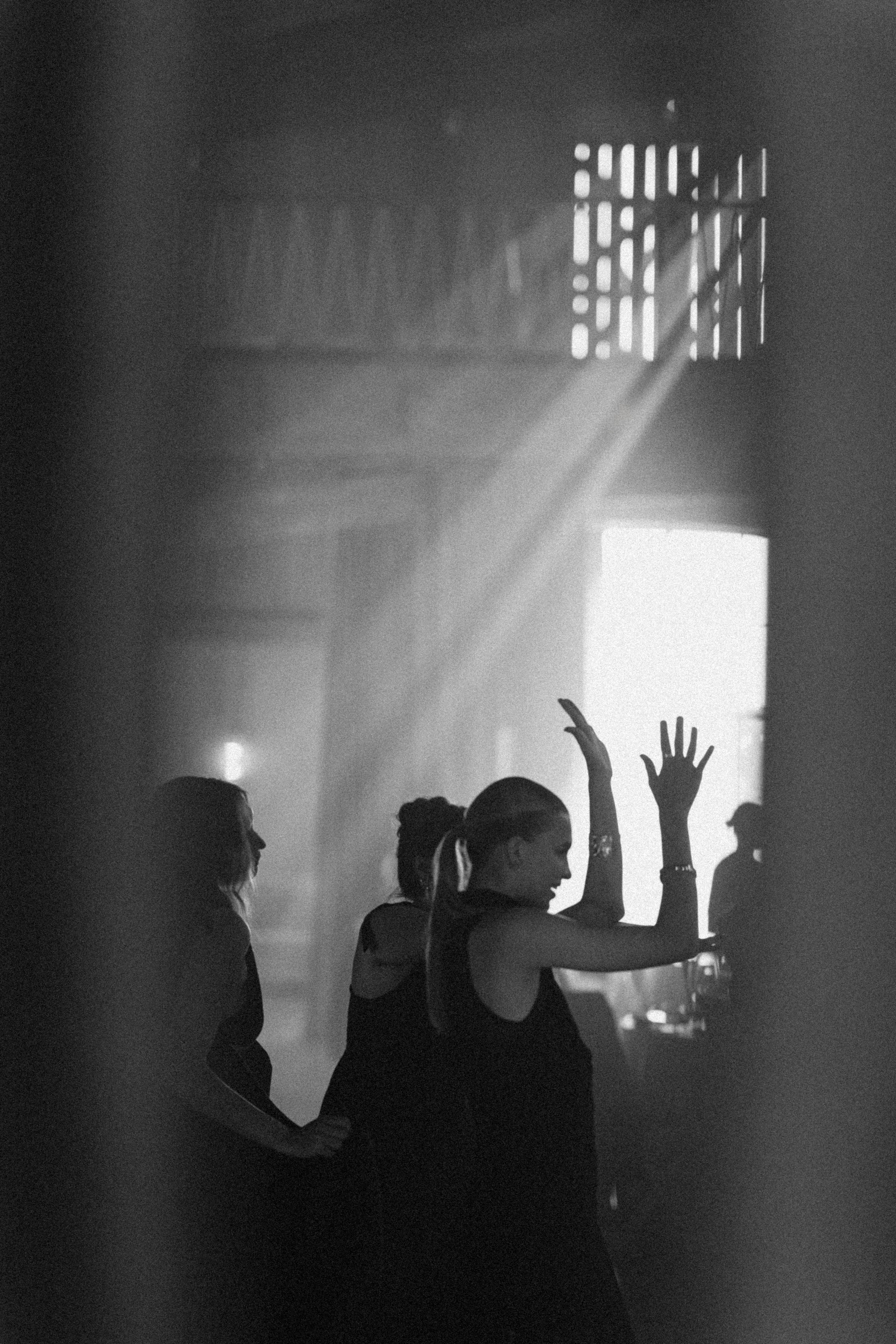 Котики. Свадебный фотограф Наташа Алешина