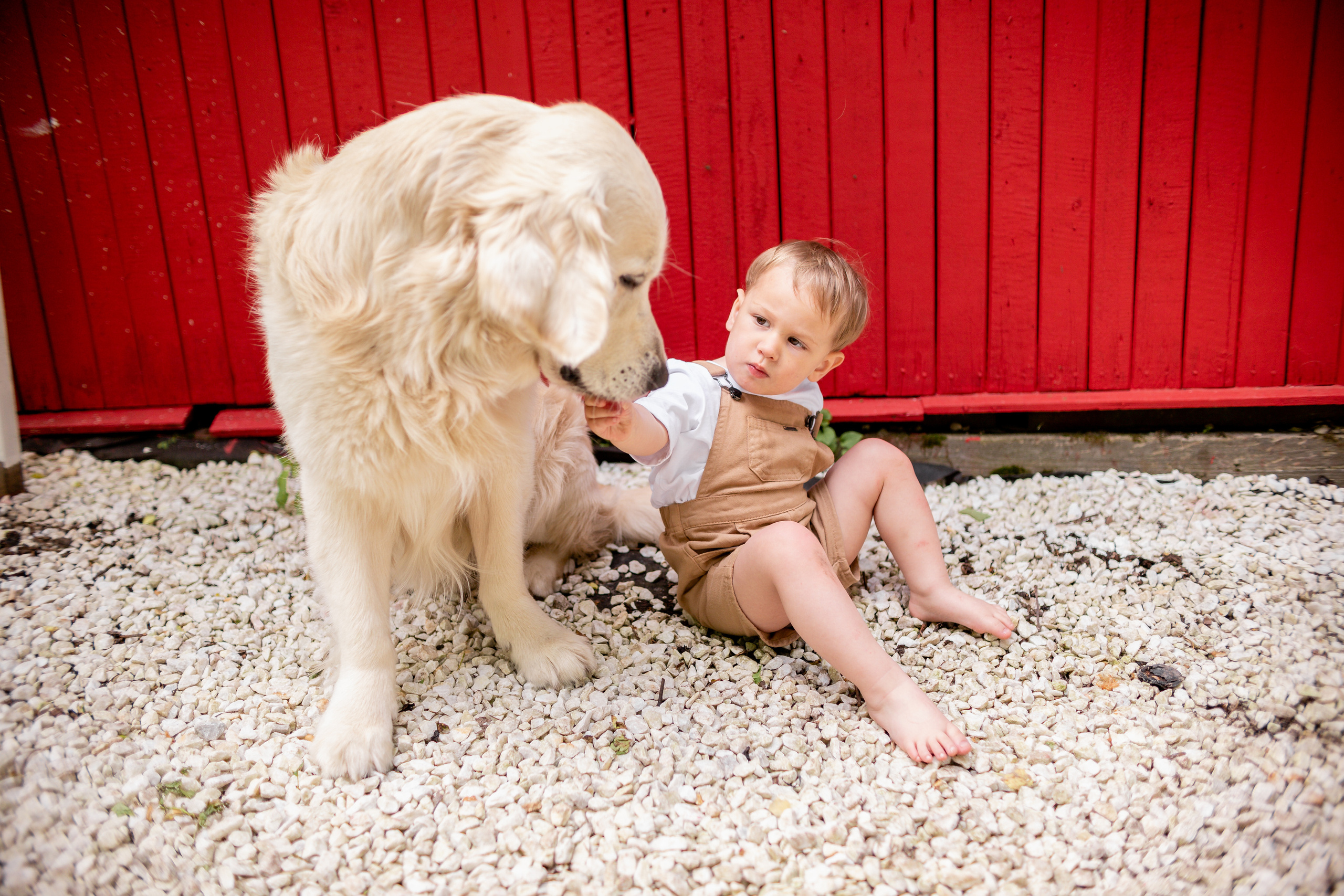 Тима, Таня, Миша. Семейный фотограф в Рязани Харламова Влада