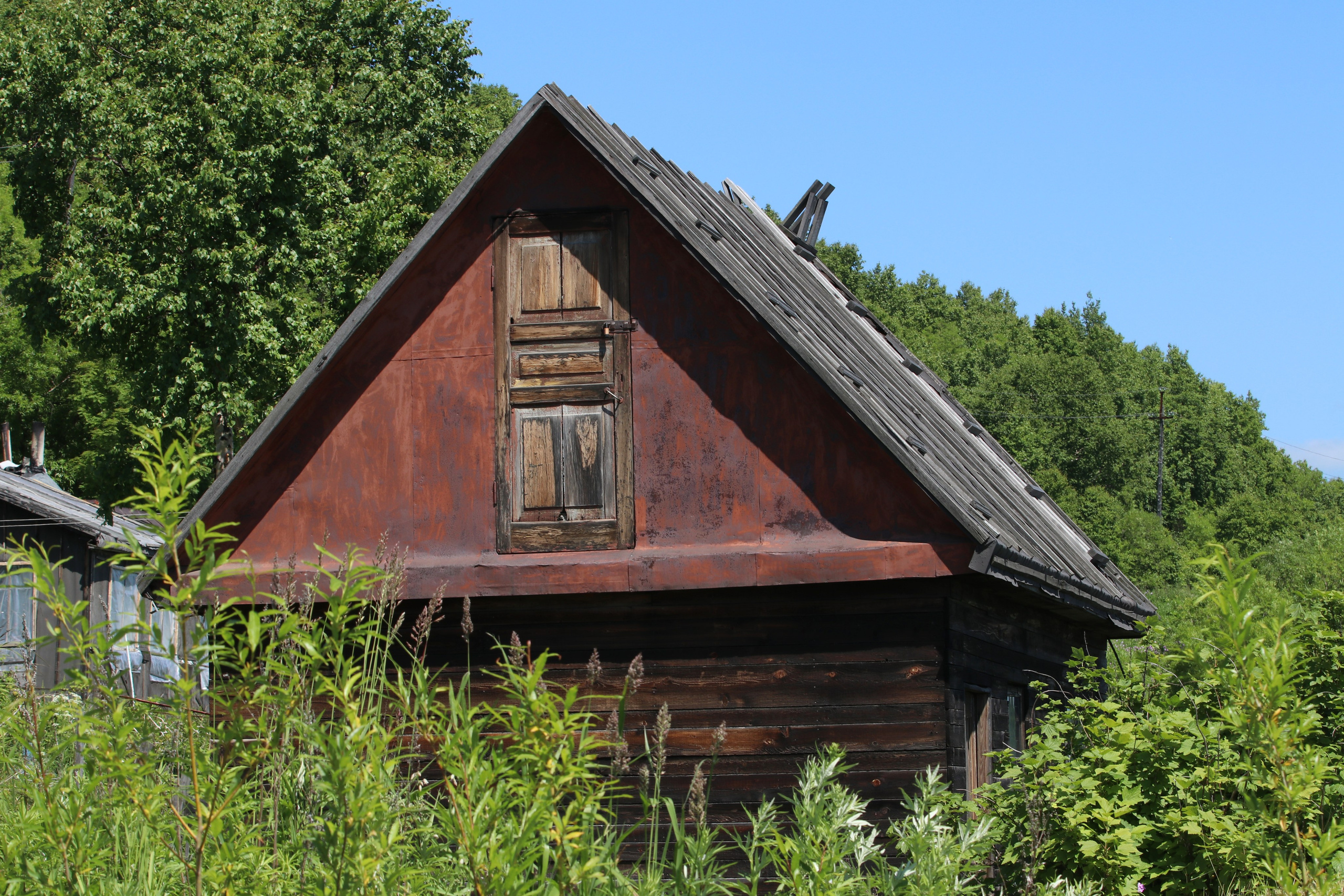Камчатка и о. Парамушир. Июль 2024. Путешественник-фотограф из Санкт-Петербурга Татьяна Свистулина