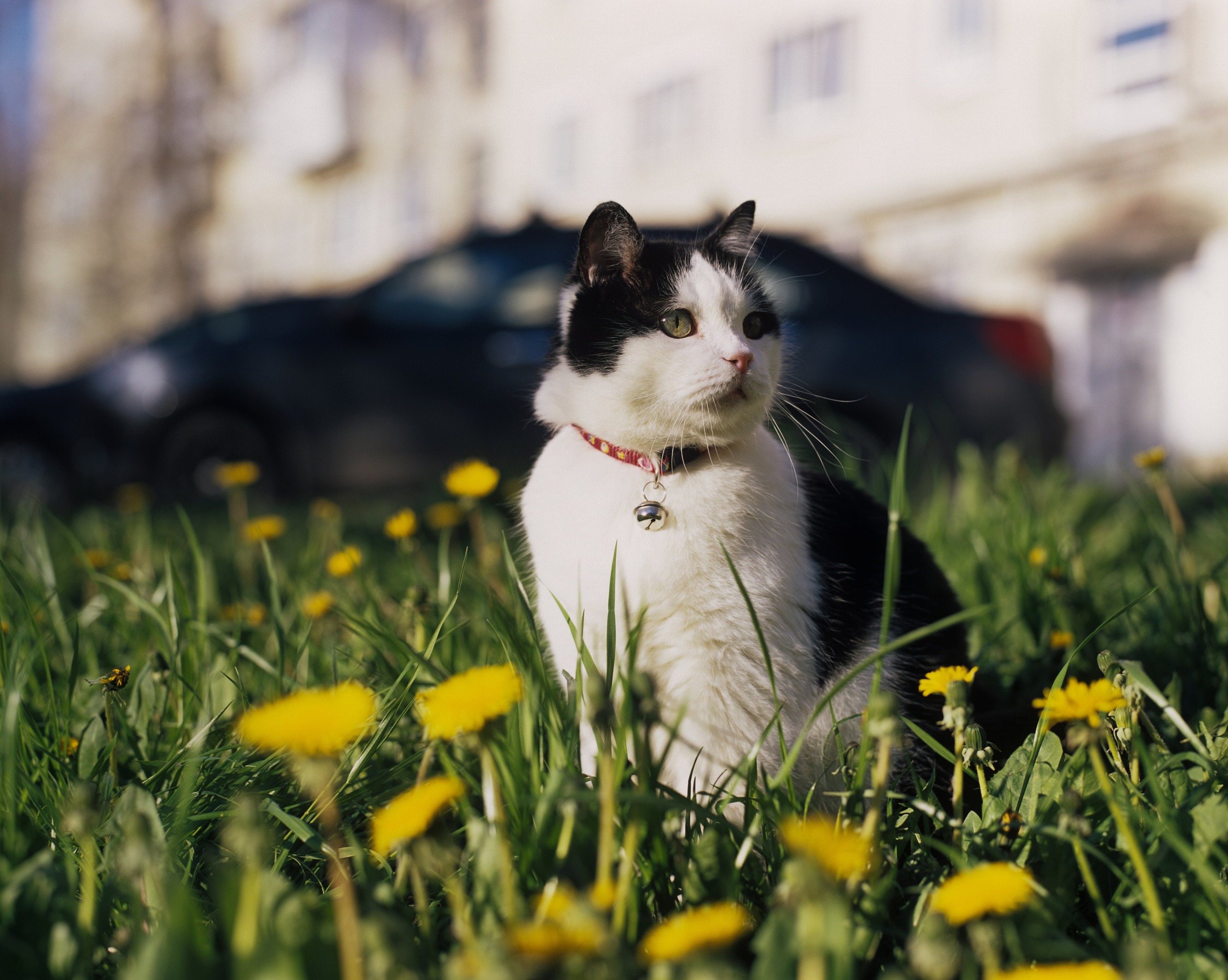 Василий. Фотограф в Санкт-Петербурге Березовский Даниил