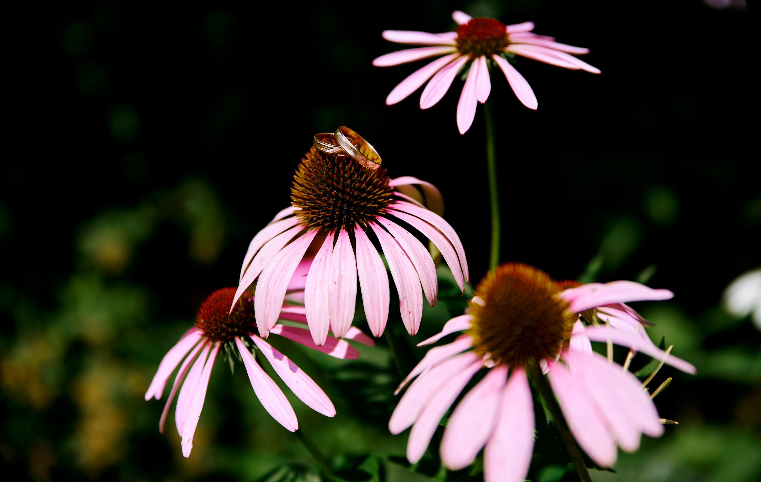 Свадебная фотосессия — Валерий и Екатерина. Фотограф Дмитрий Емелин. Фотограф в Саранске Дмитрий Емелин