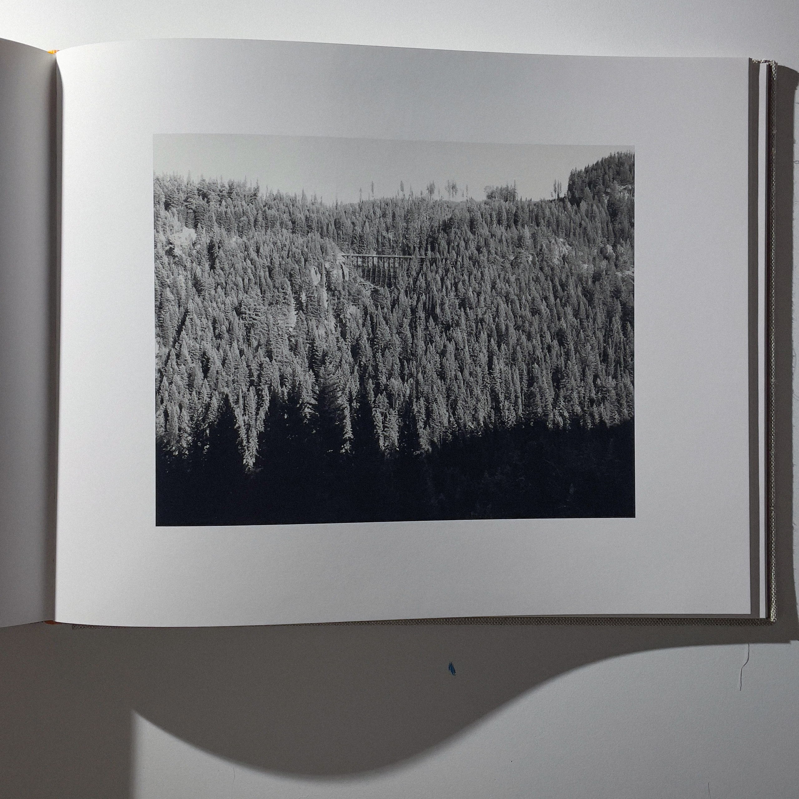 Фотокнижная библиотека Глеба Сергеева. Фотограф и исследователь фотографии из Санкт-Петербурга Елизавета Веприцкая