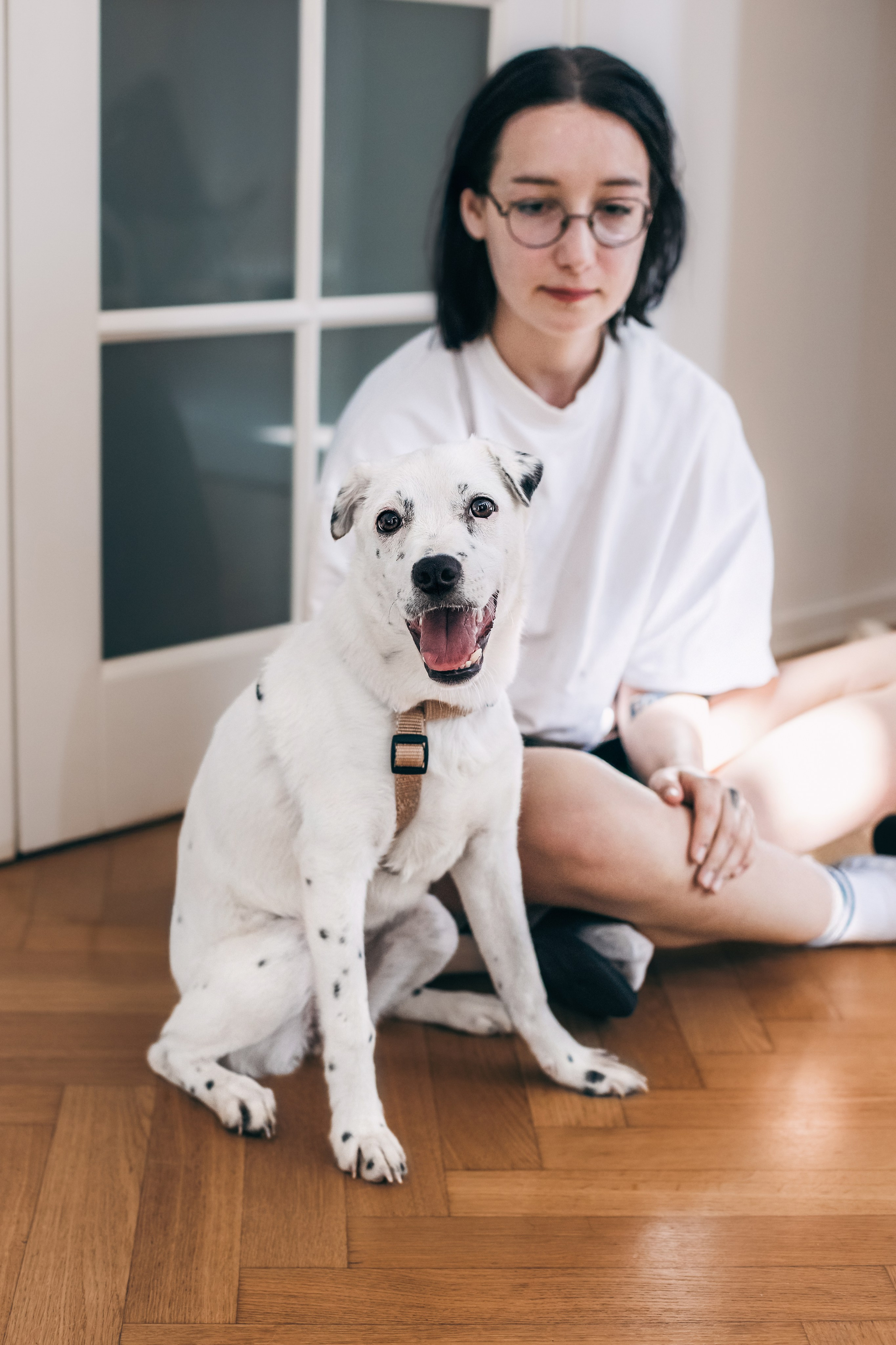 Студия лето 2025. Фотограф-анималист Татьяна Степанова