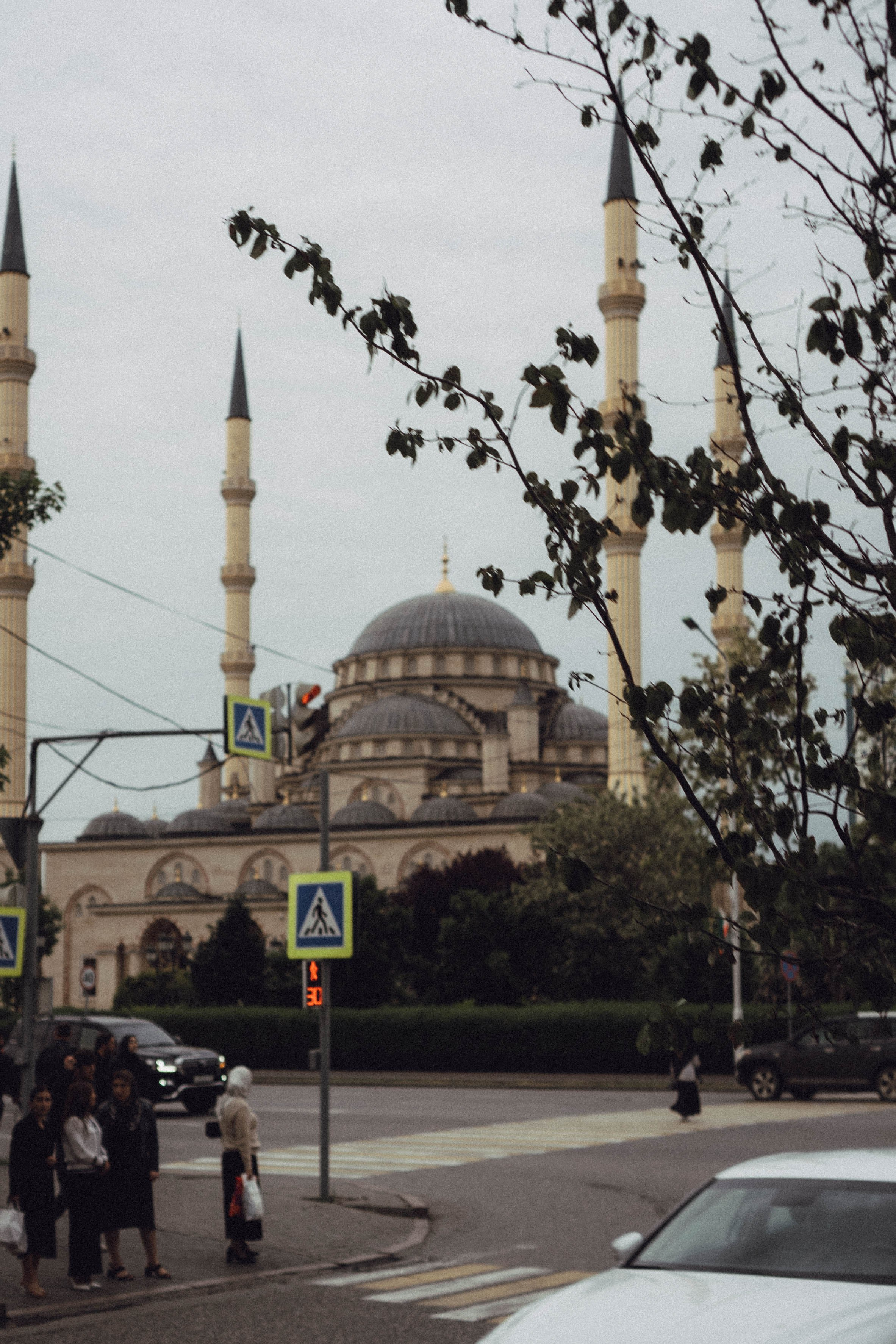 Кавказ. Профессиональный фотограф, Санкт-Петербург — Виктория Богомолова