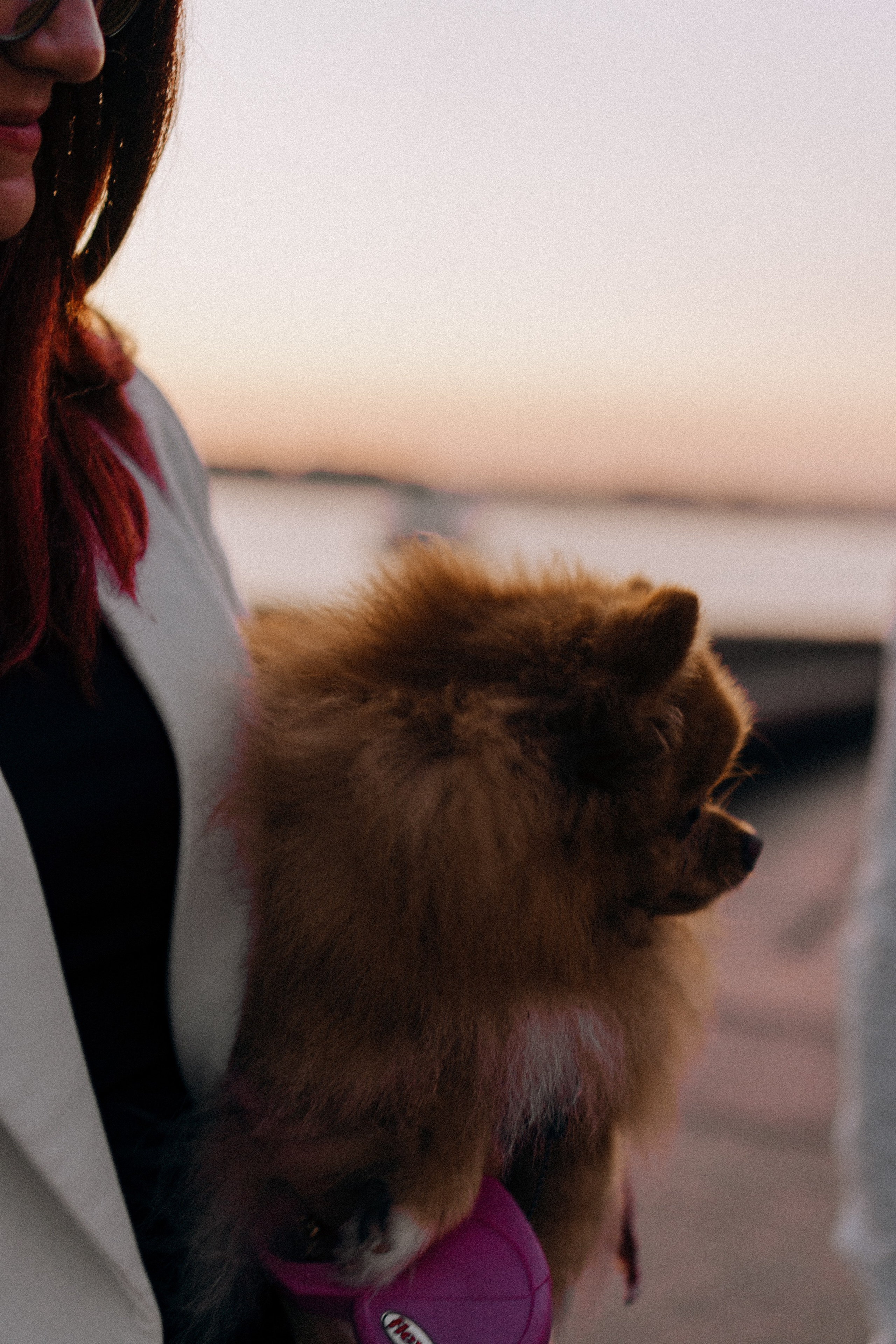 РАССВЕТНАЯ ИСТОРИЯ. Профессиональный фотограф, Санкт-Петербург — Виктория Богомолова