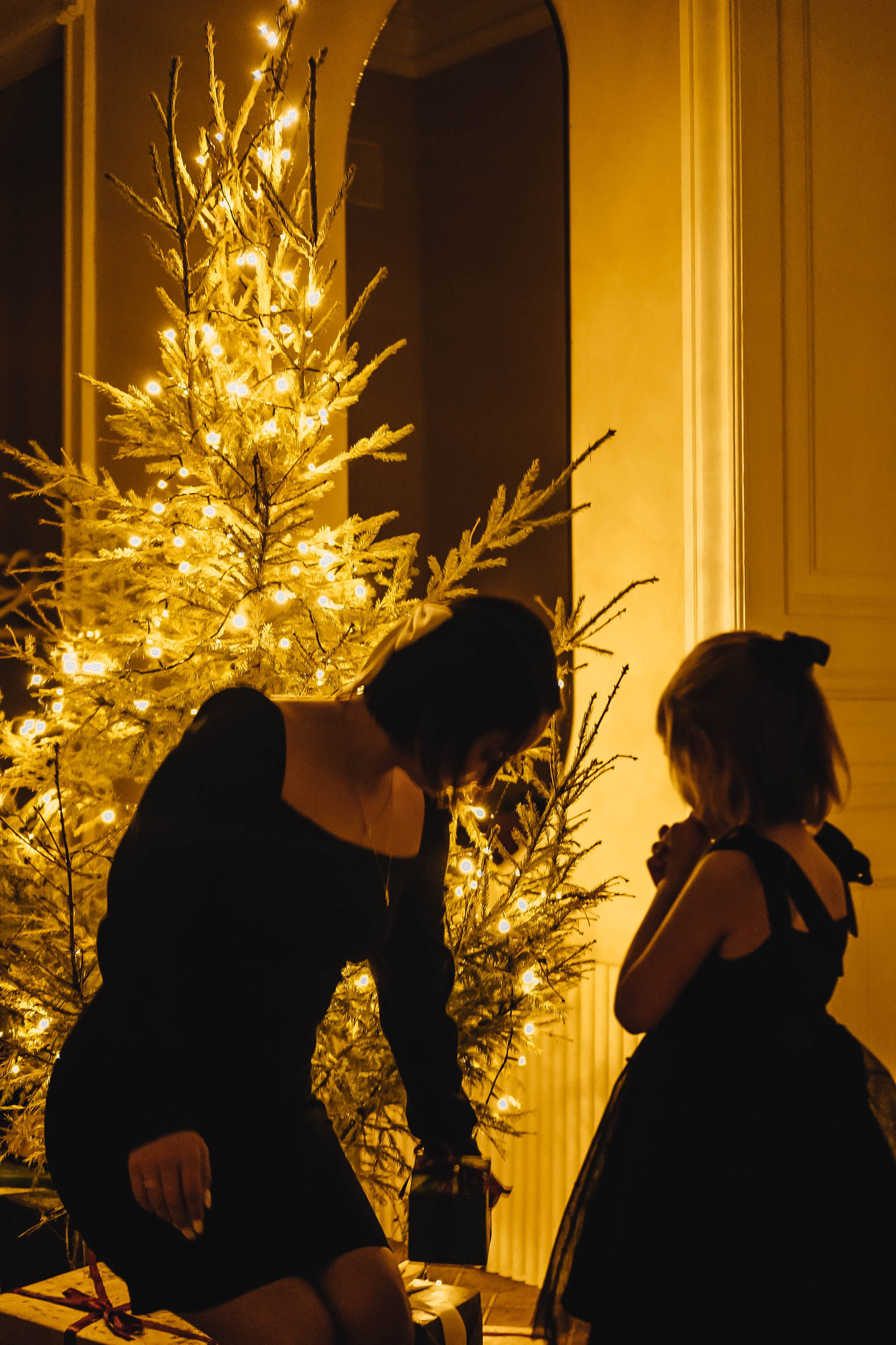 Семейная новогодняя. Профессиональный фотограф, Санкт-Петербург — Виктория Богомолова