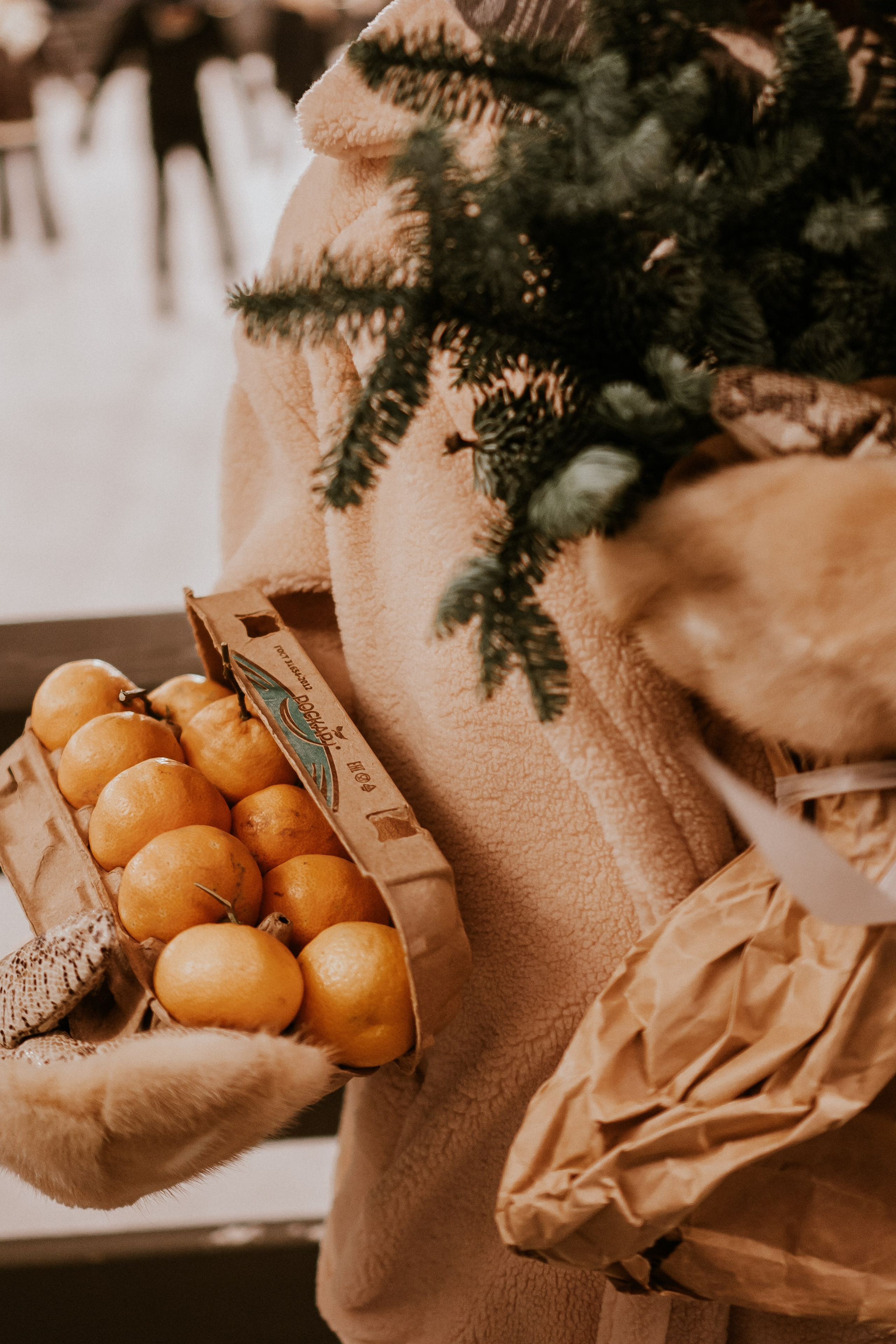 Зимняя сказка в Новой Голандии. Профессиональный фотограф, Санкт-Петербург — Виктория Богомолова