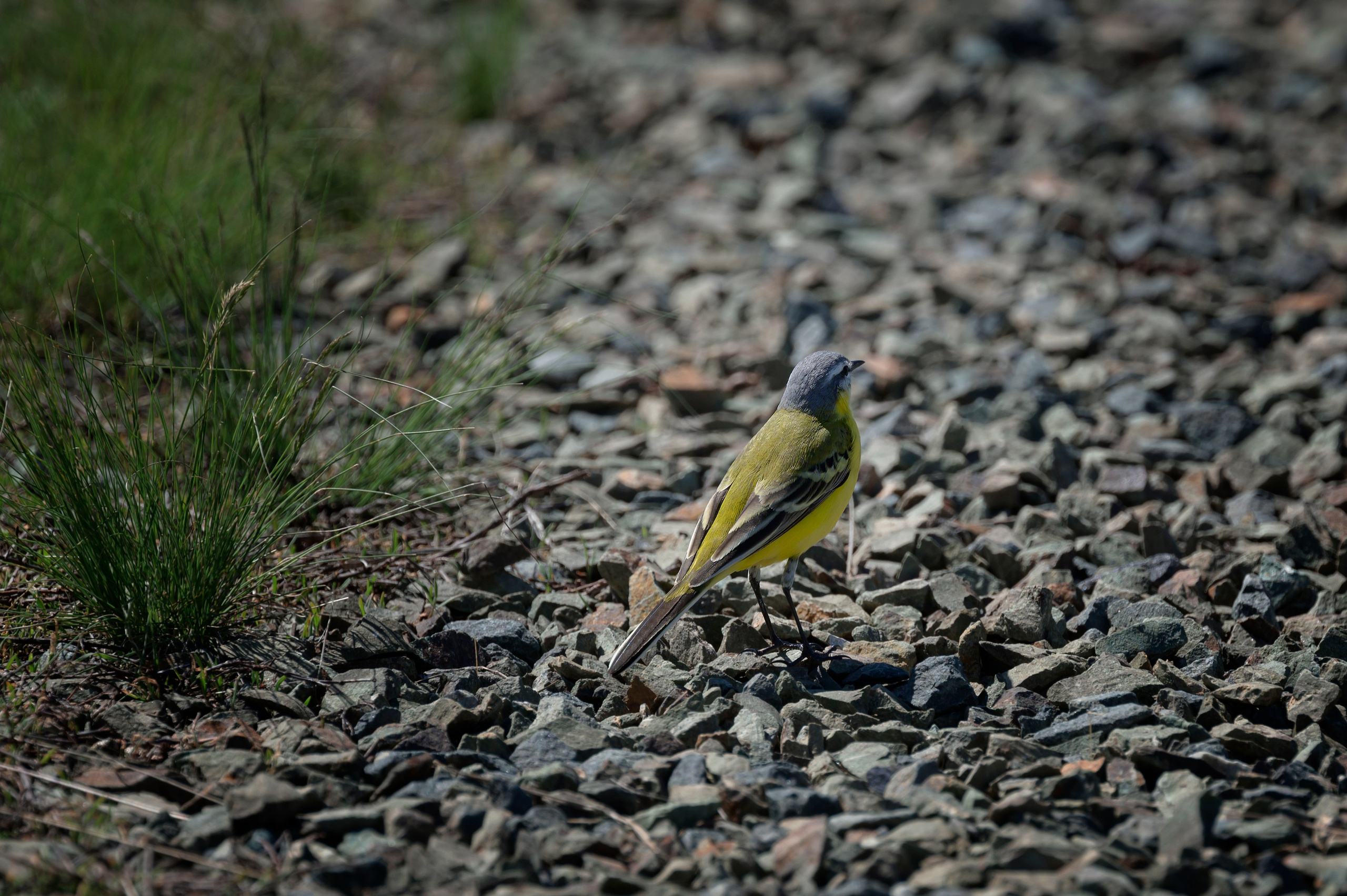 Оренбуржье. Портретный фотограф в Челябинске Катерина Руди