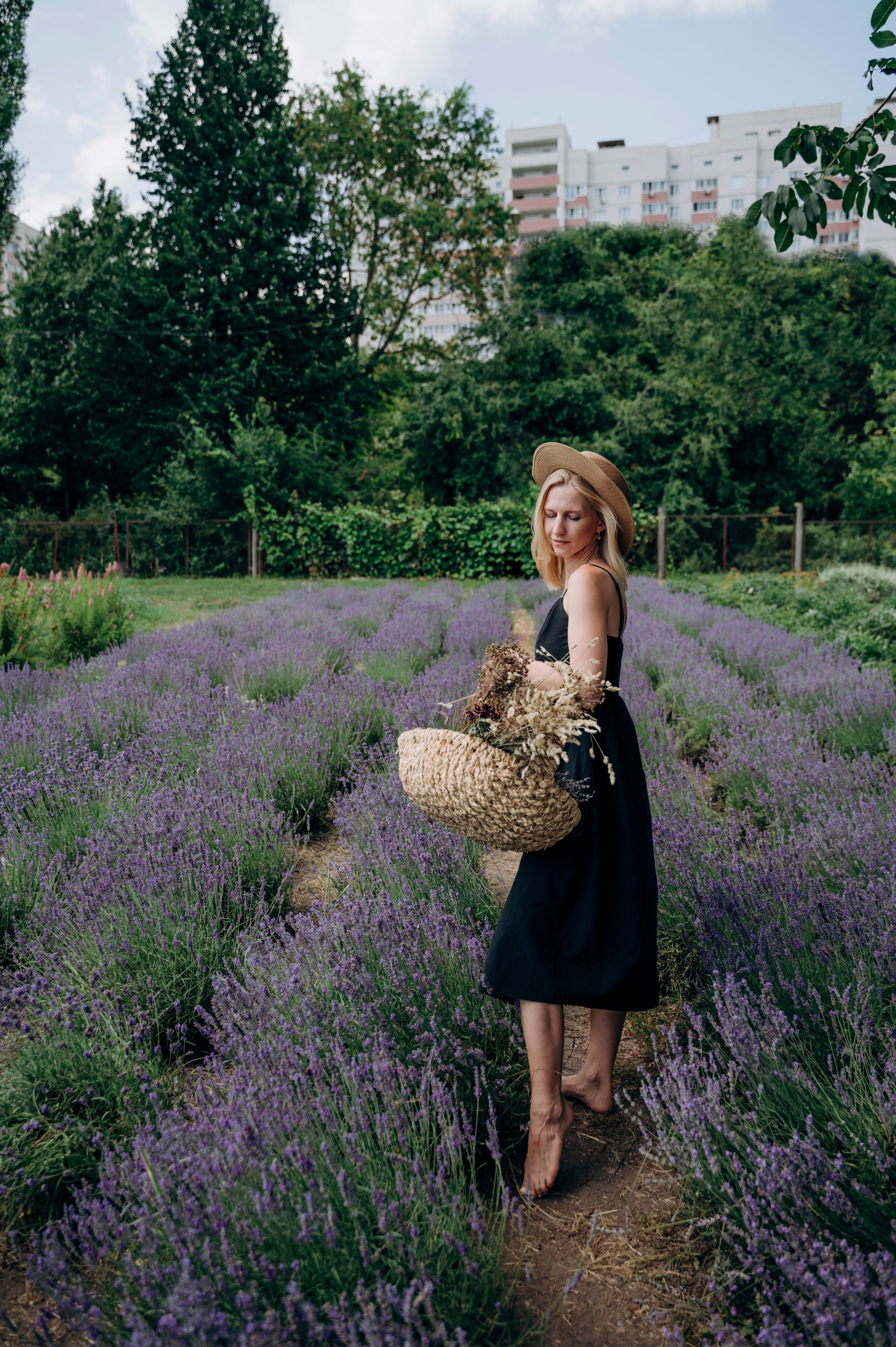 Шепот лаванды. Семейный и детский фотограф Анастасия Монченко