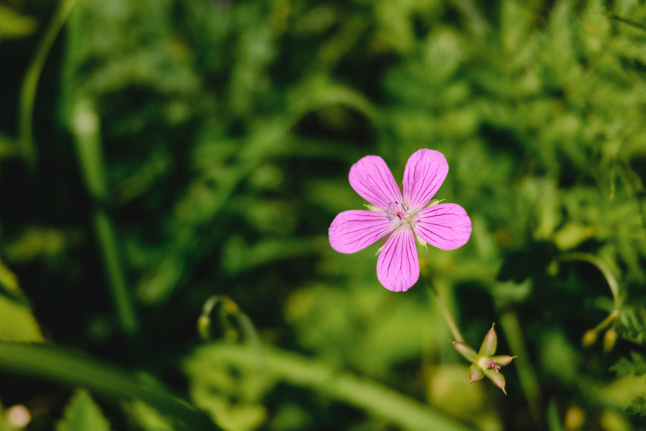 2023.07. Фотограф Алексей Алексеев