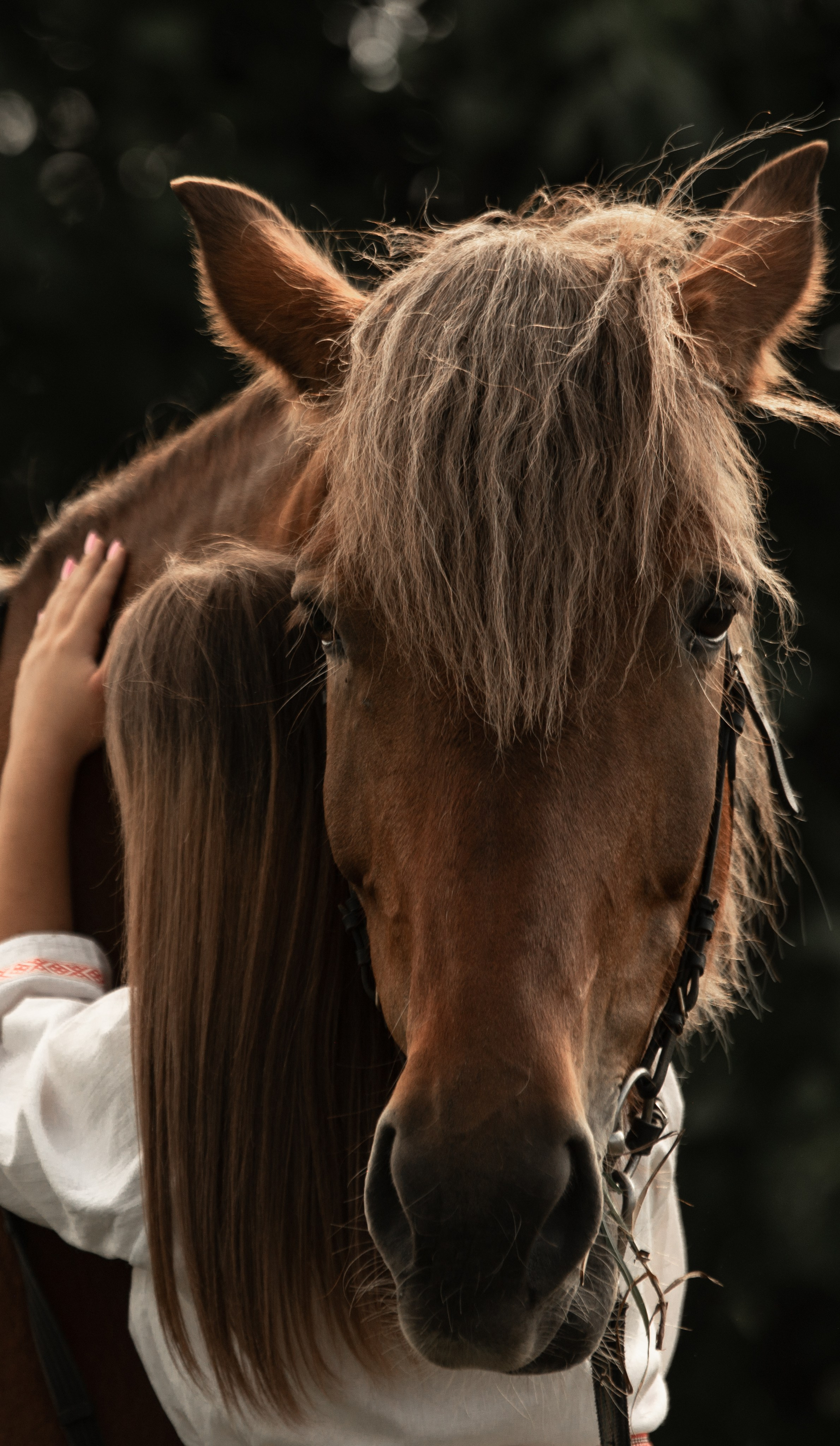 Вероника и Марта. Конный фотограф в Саратове Юлия Иванова