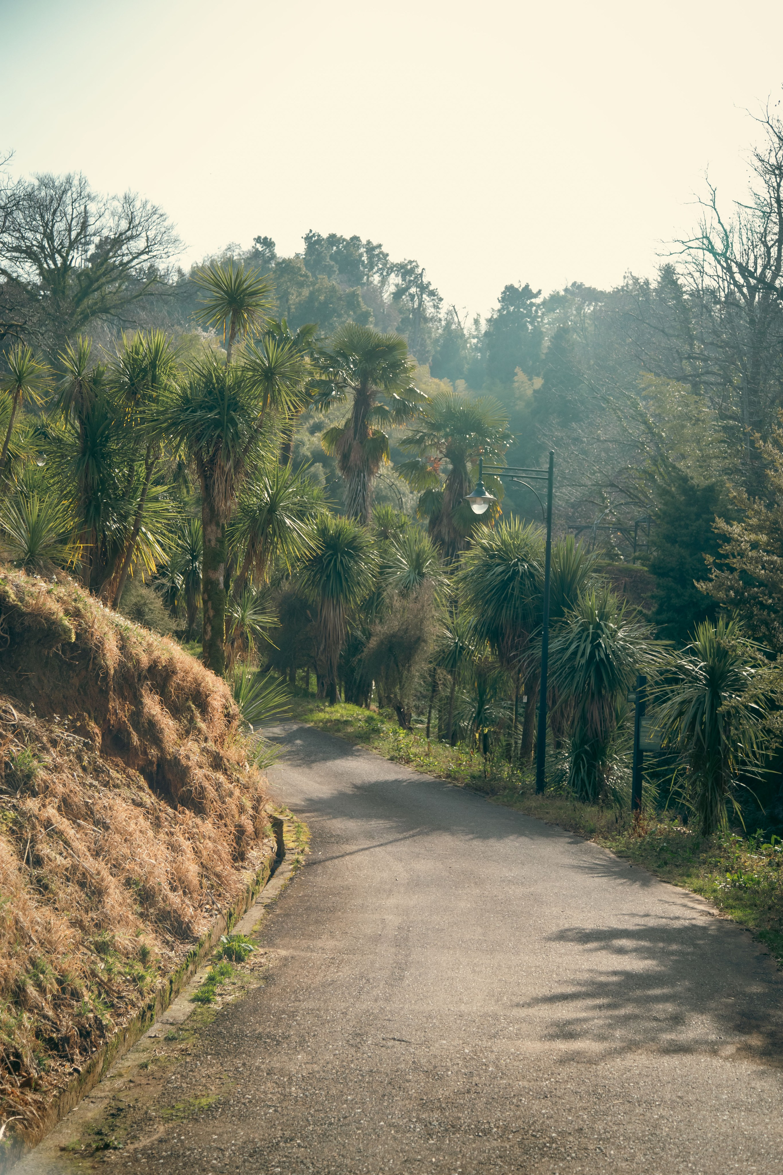 Batumi. Dmitriy [KCCC] is a pretty cool photographer